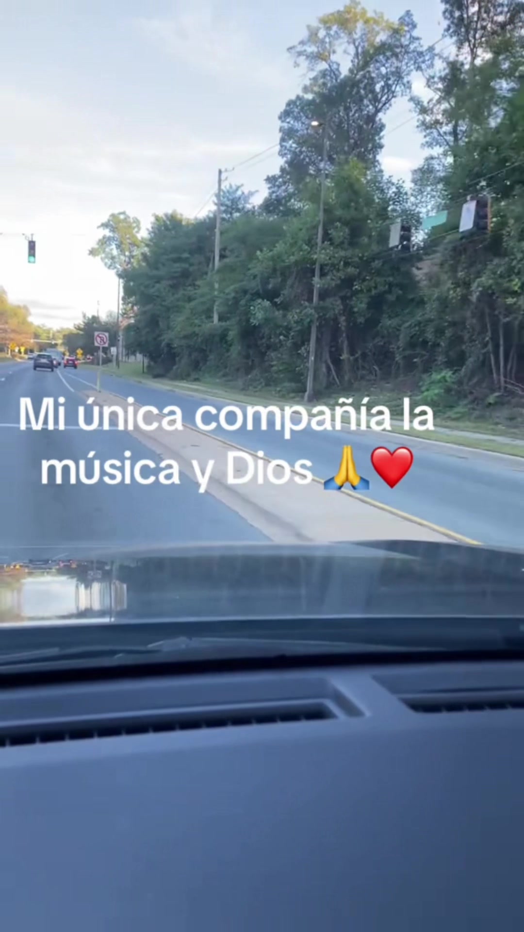 @Mirian🇸🇻🇺🇸&hearts;️💫🌹
