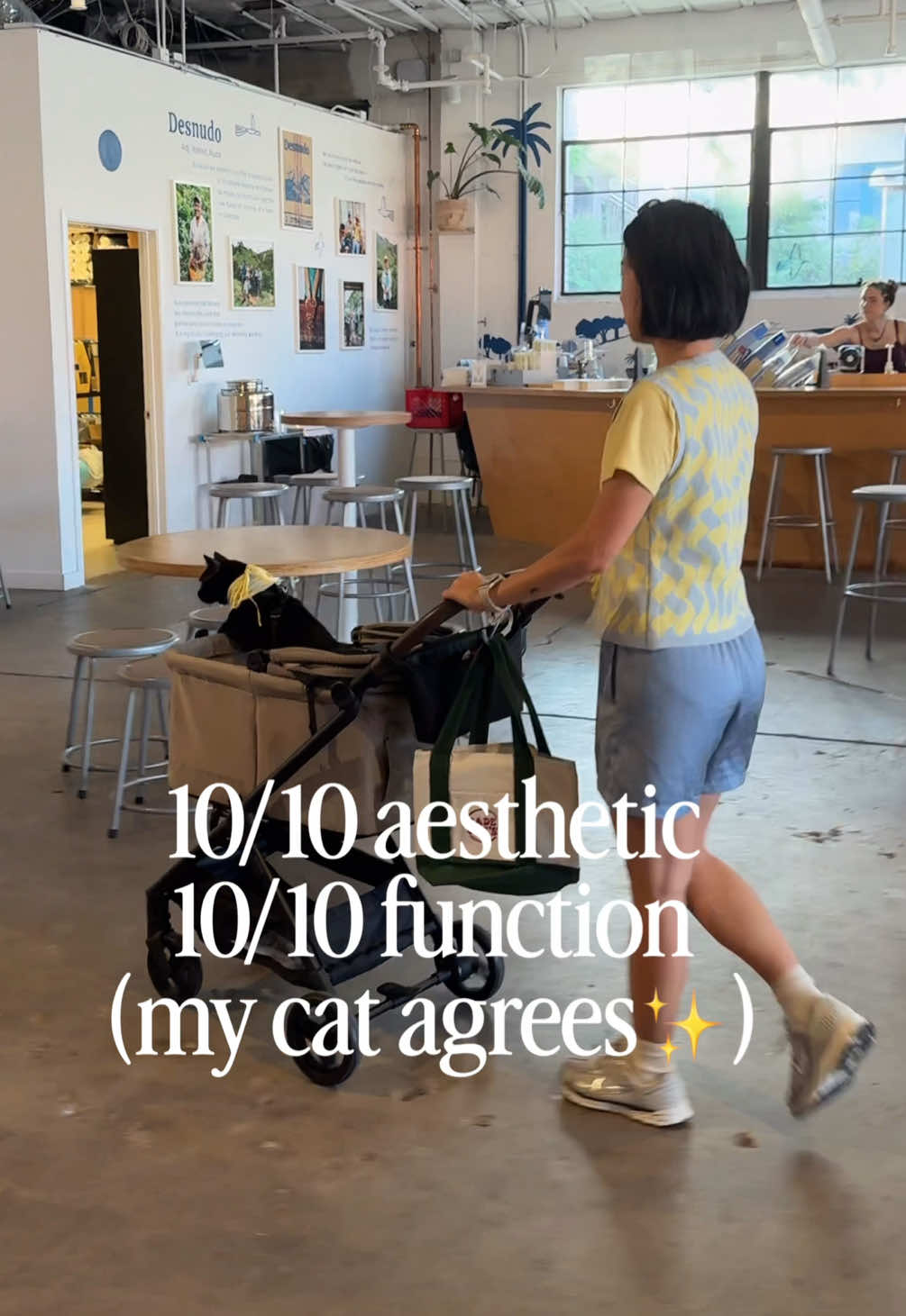 @Tachi | Petfluencer & UGC