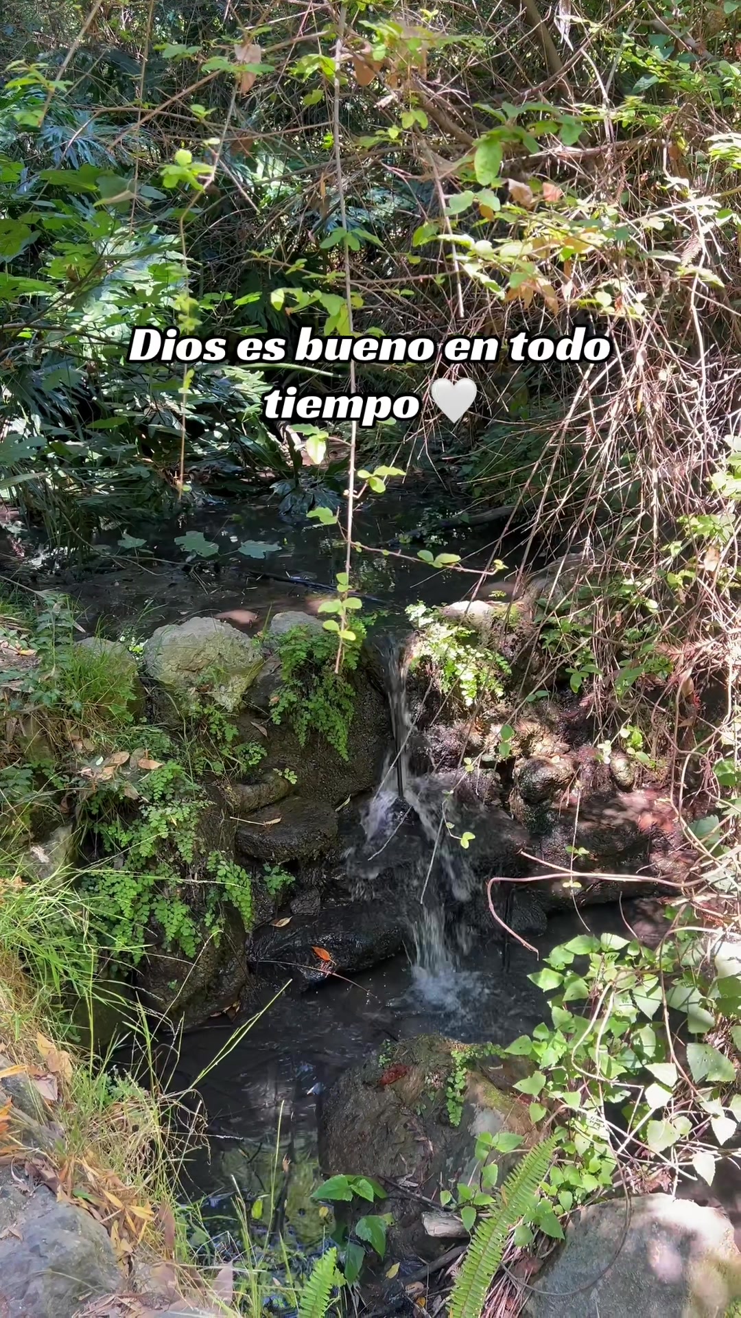 @💞ISA💞