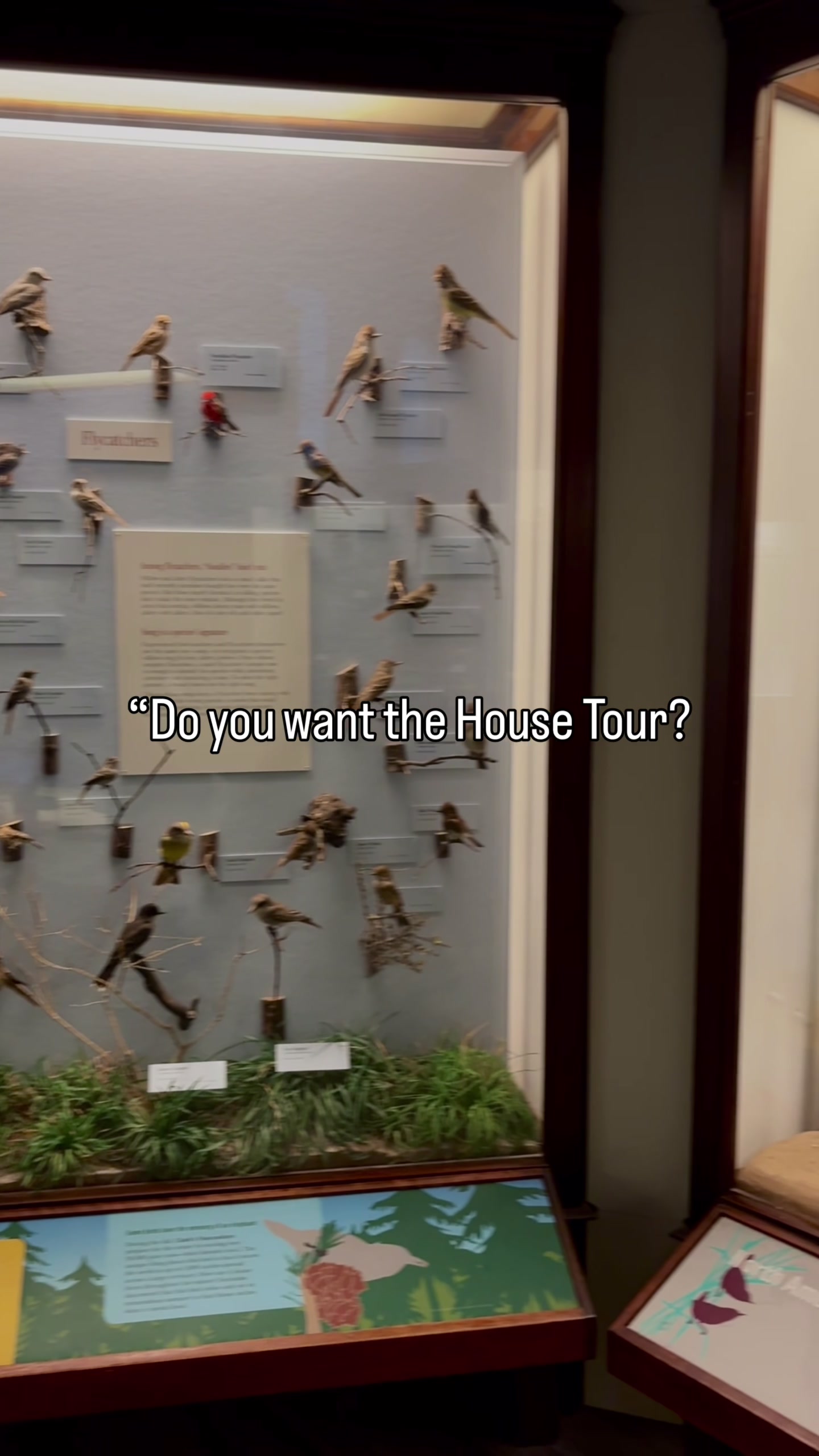 @Field Museum