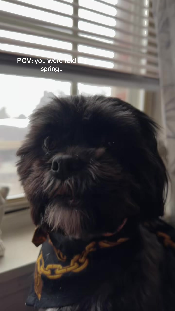 @tkdoingshyytt