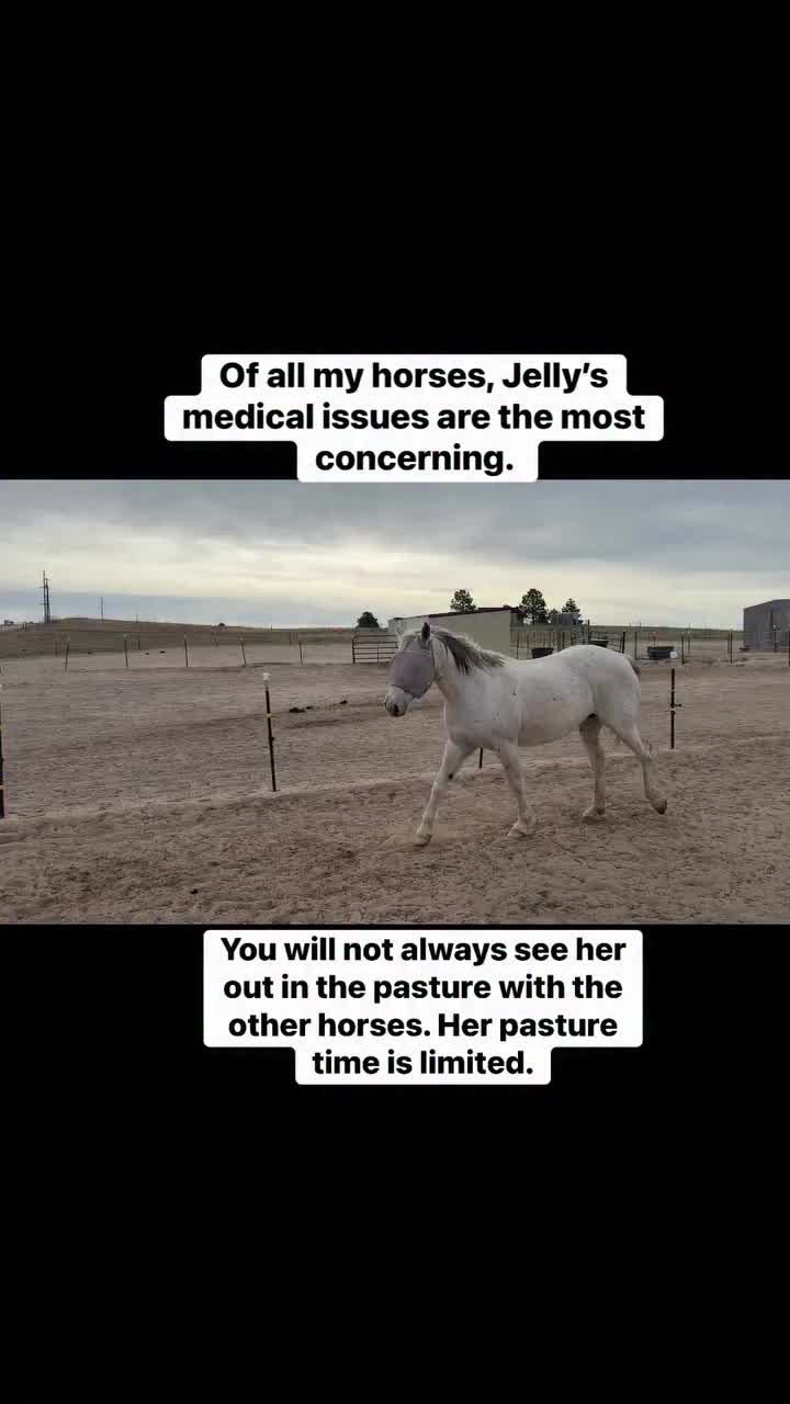 @Ally Freda-Hunt
