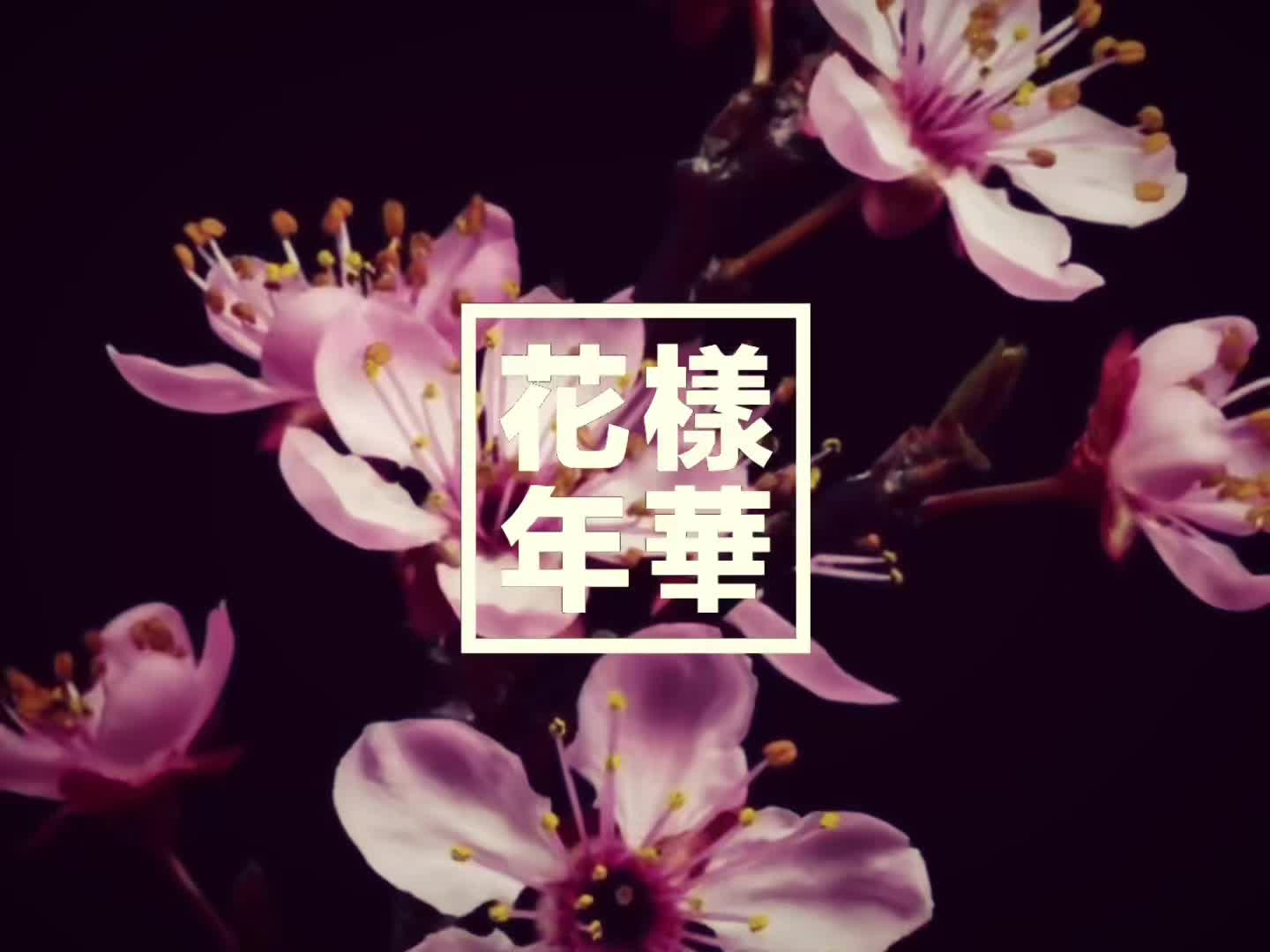 @𝘷𝘢𝘭𝘦🪷⁷