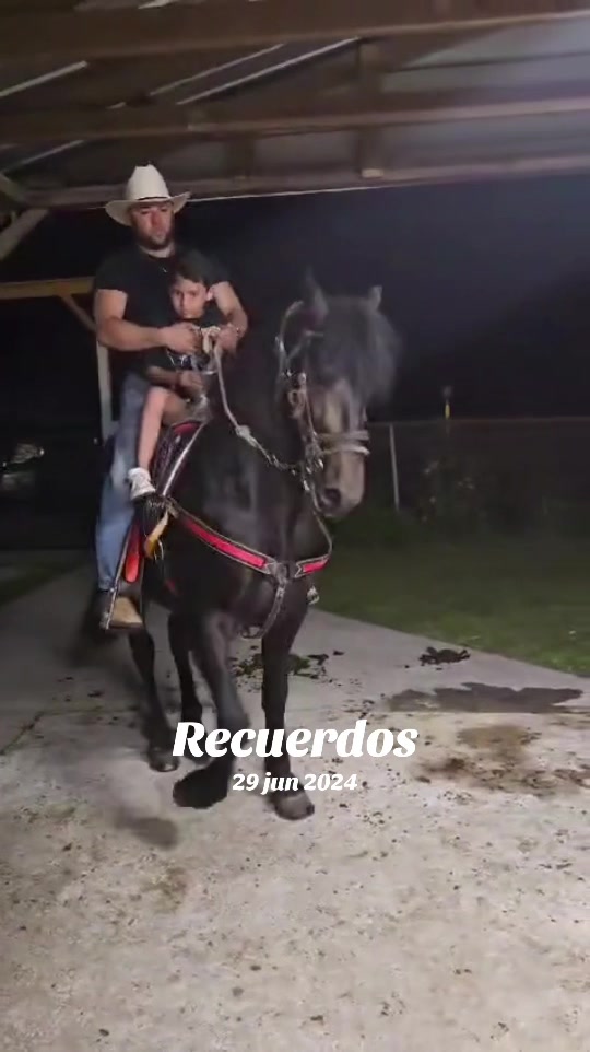 @erikaalmanzaescobedo