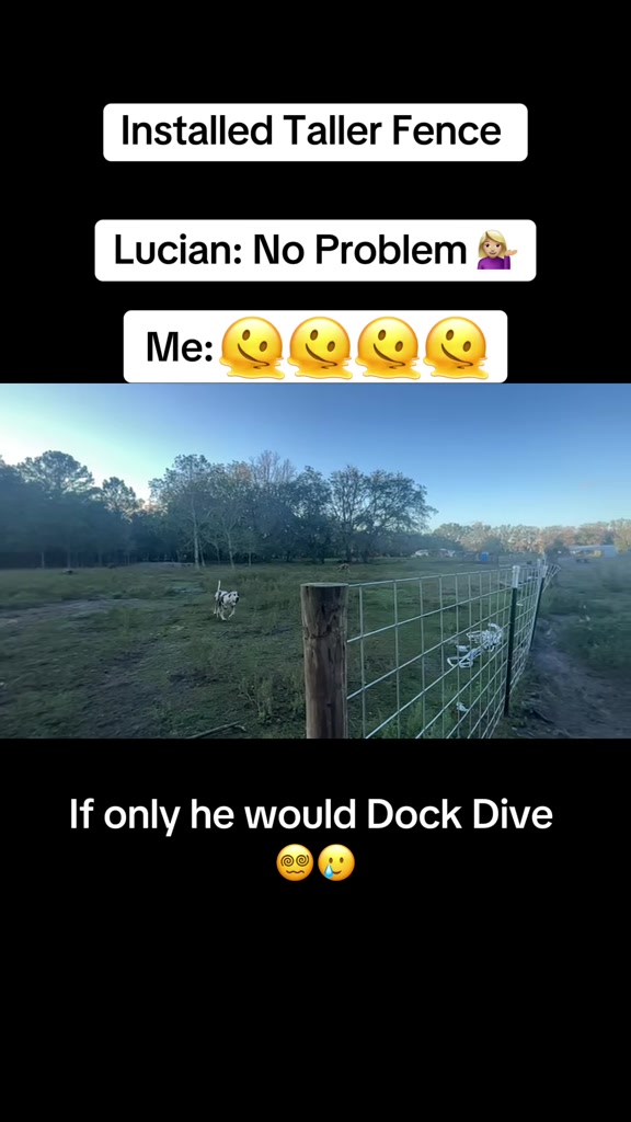 @saltdragonfarm