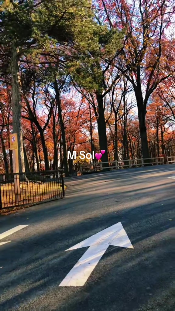 @M sol