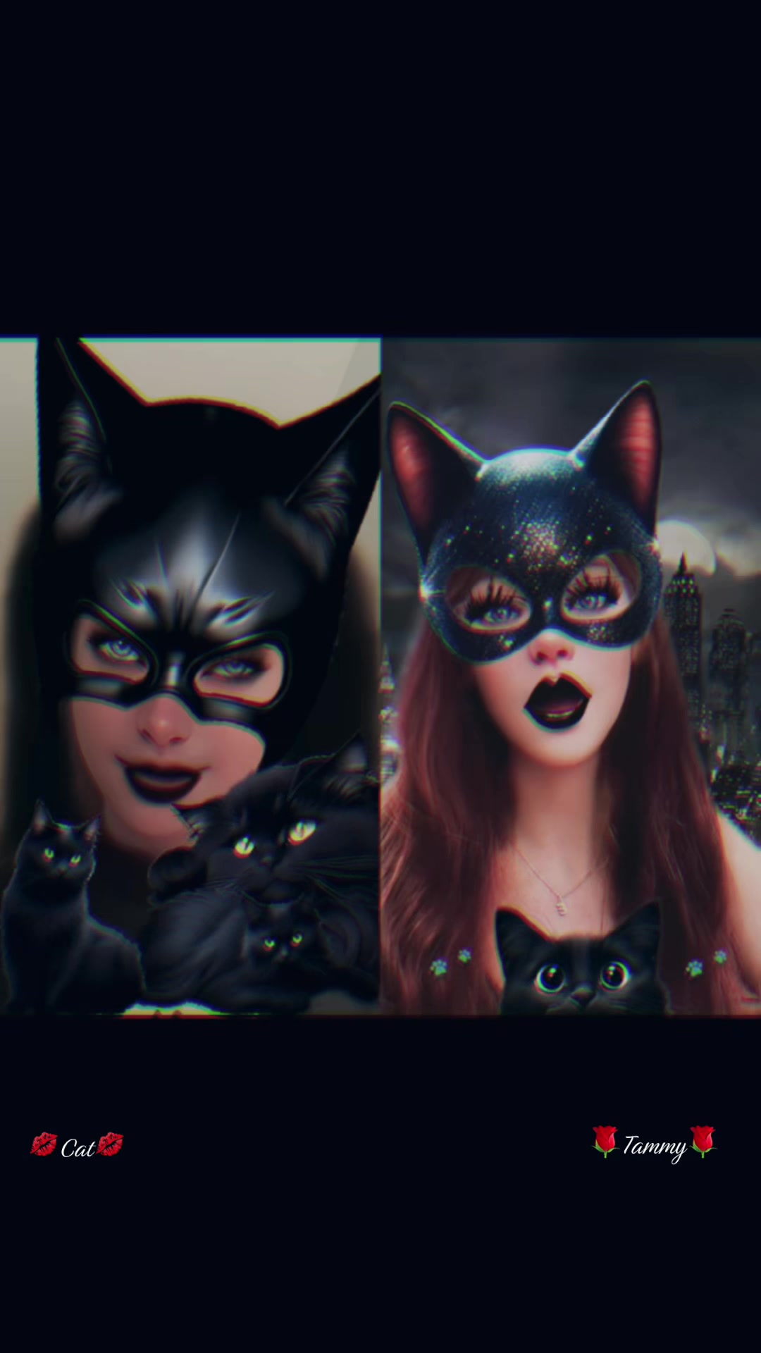 @💋Jersey Cat💋