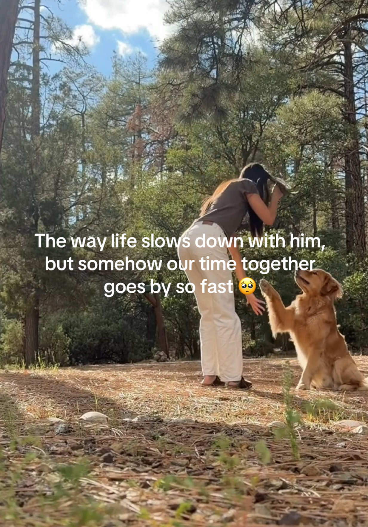 @Romeo the Retriever