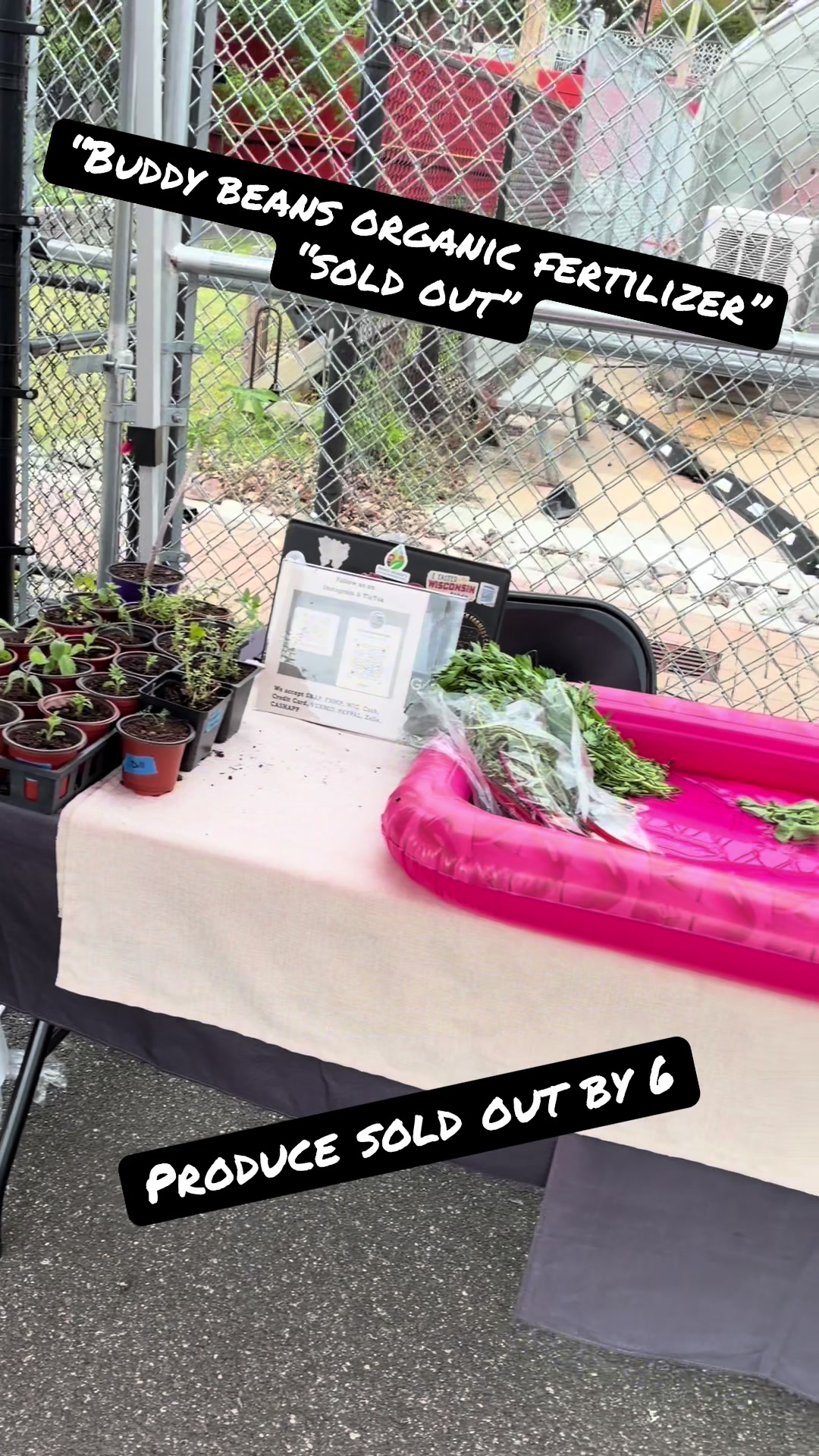 @gobigadventuresfarm
