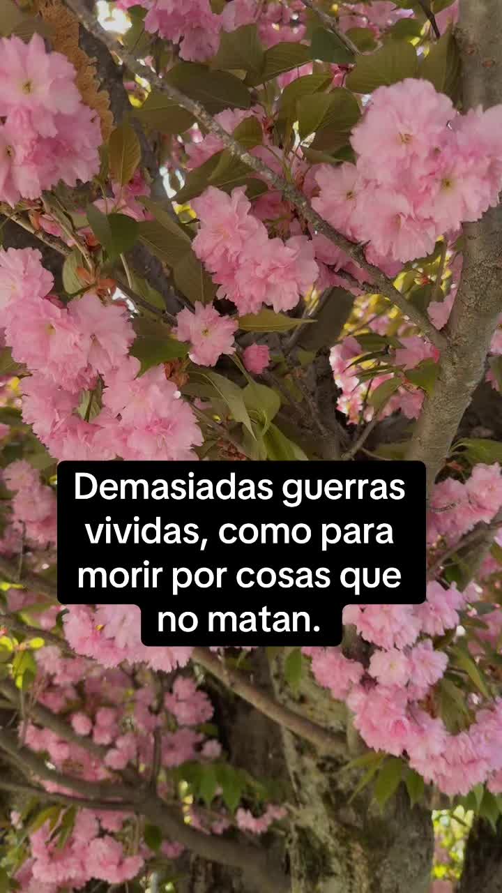 @🌹🥀Yro🥀🌹