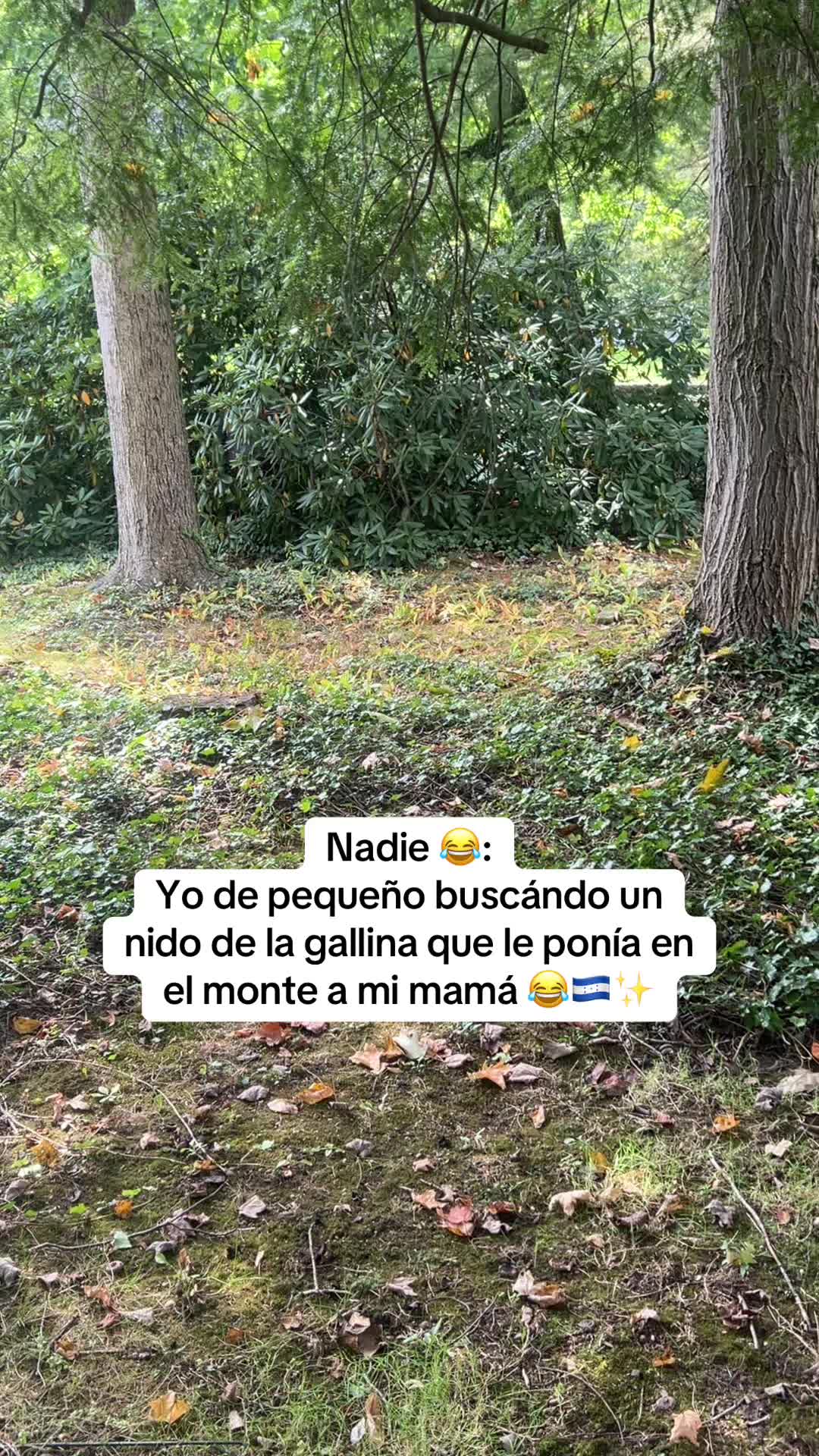 @pablo Henriquez ✅🎭