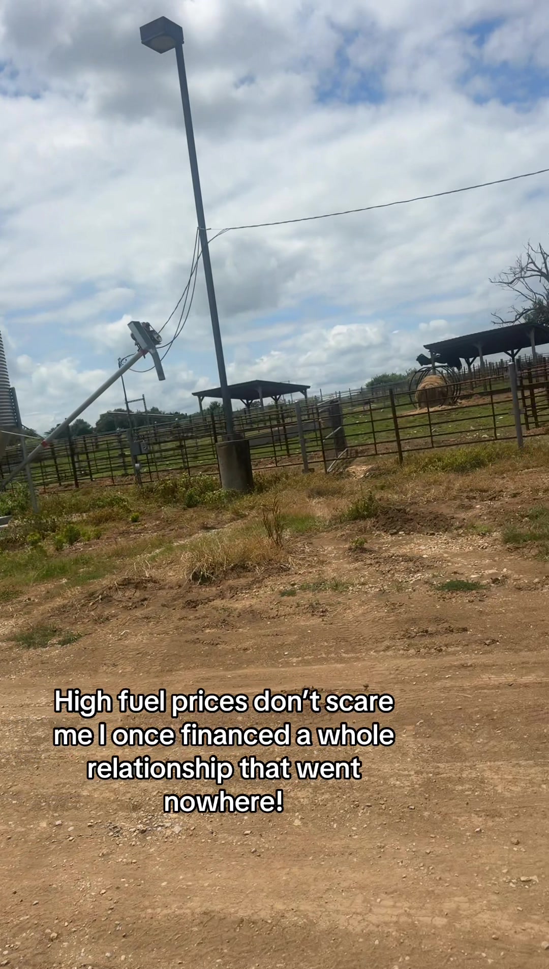 @tripleclivestock