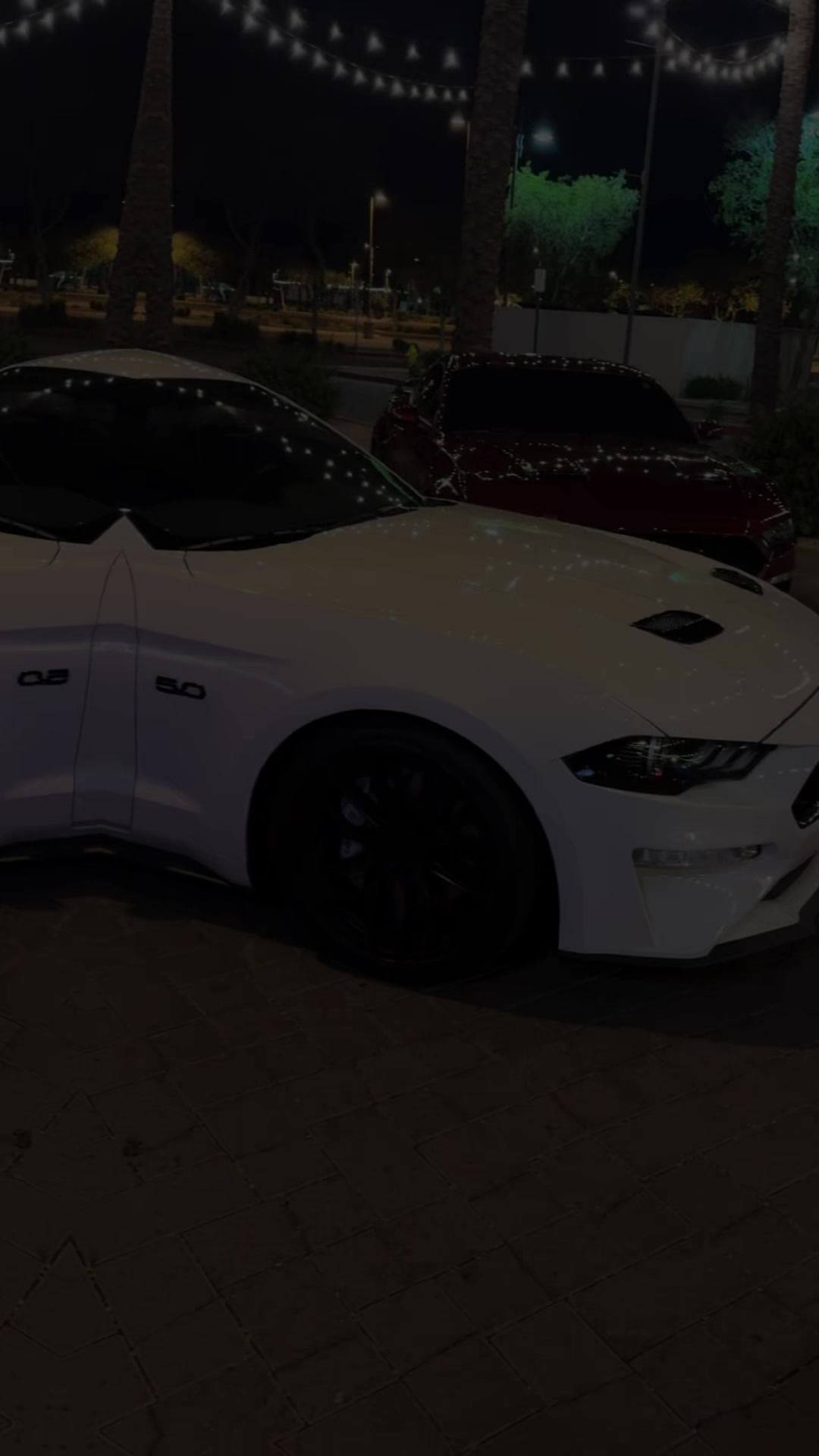 @5.0 Snowyy