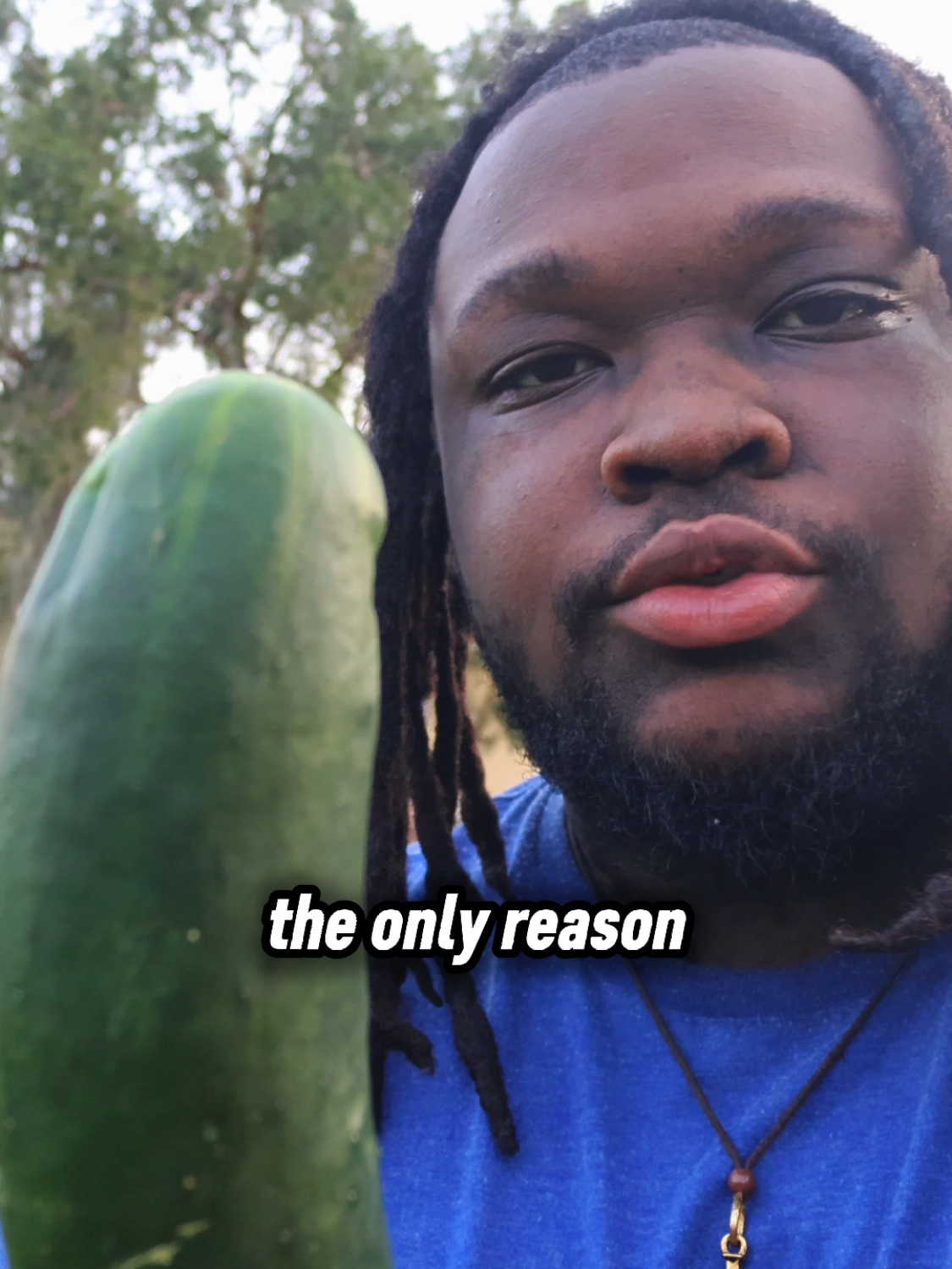 @Shawn Grows