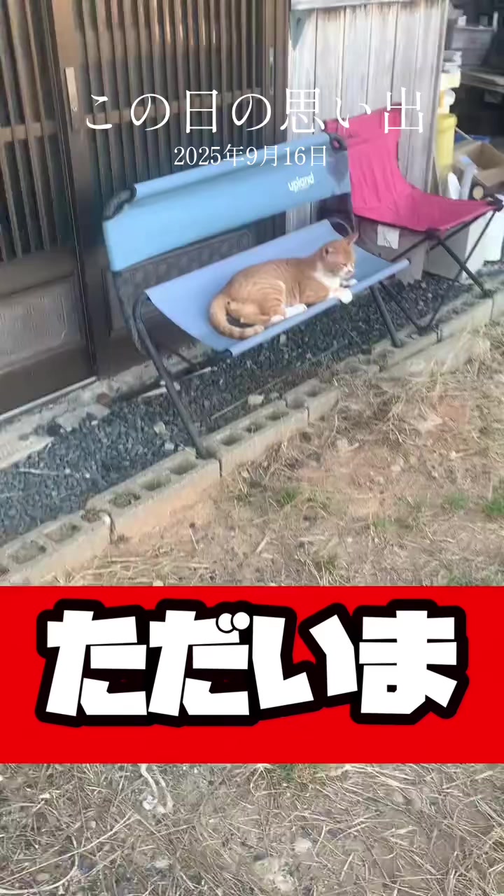 @藤原 政宗 動物好き❤️飛行機好き❤️