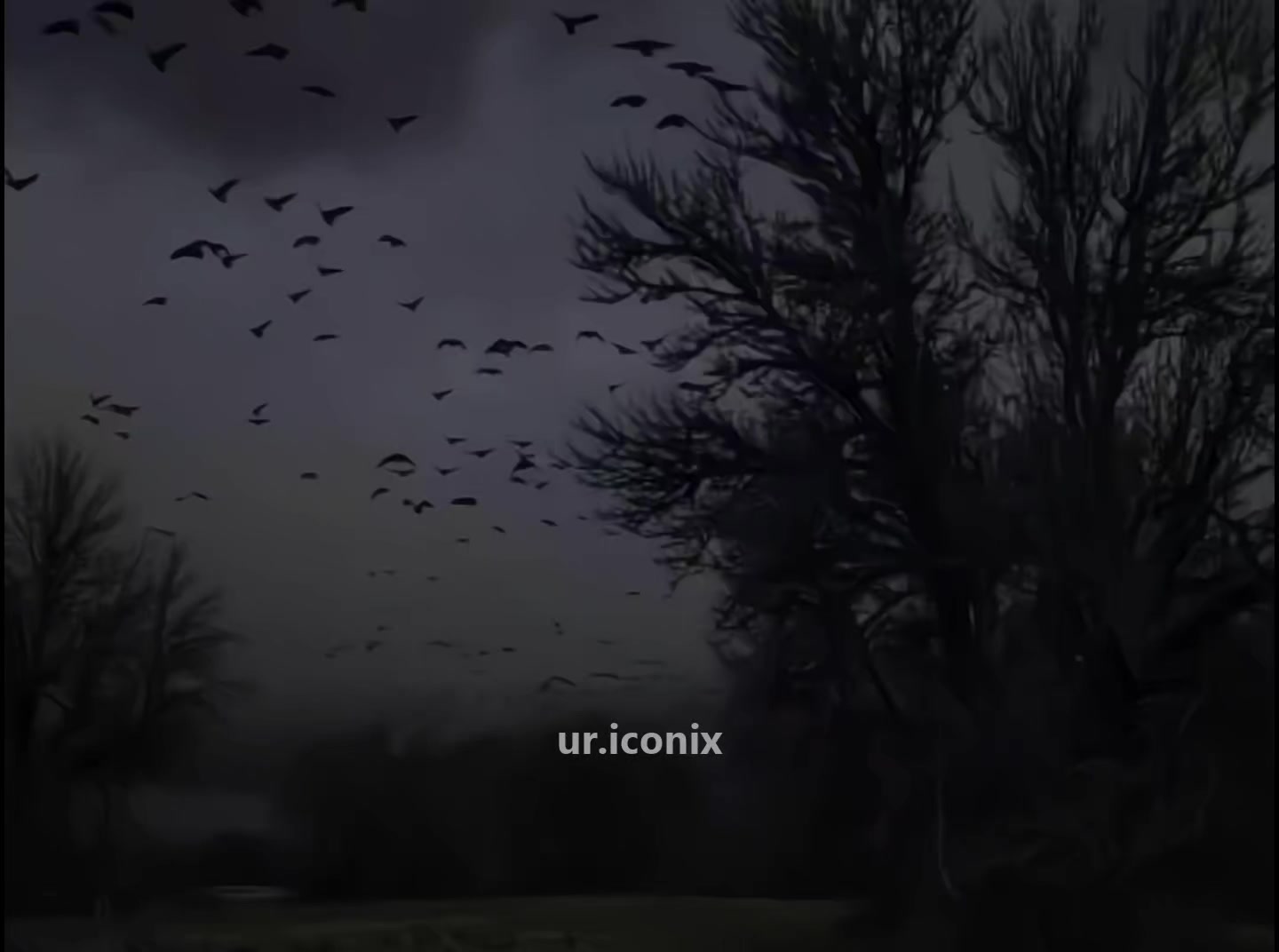 @𝐈𝐜𝐨𝐧𝐢𝐱