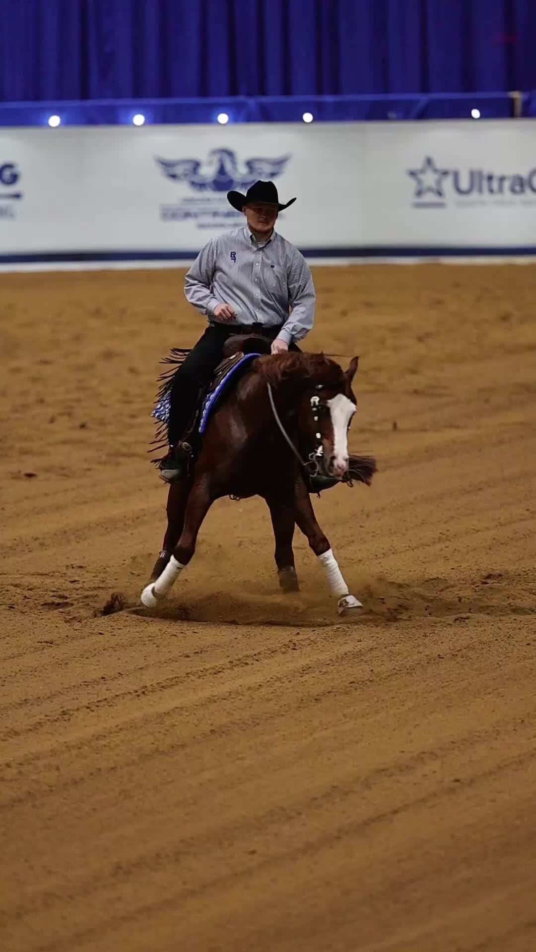 @Tom McCutcheon Reining Horses