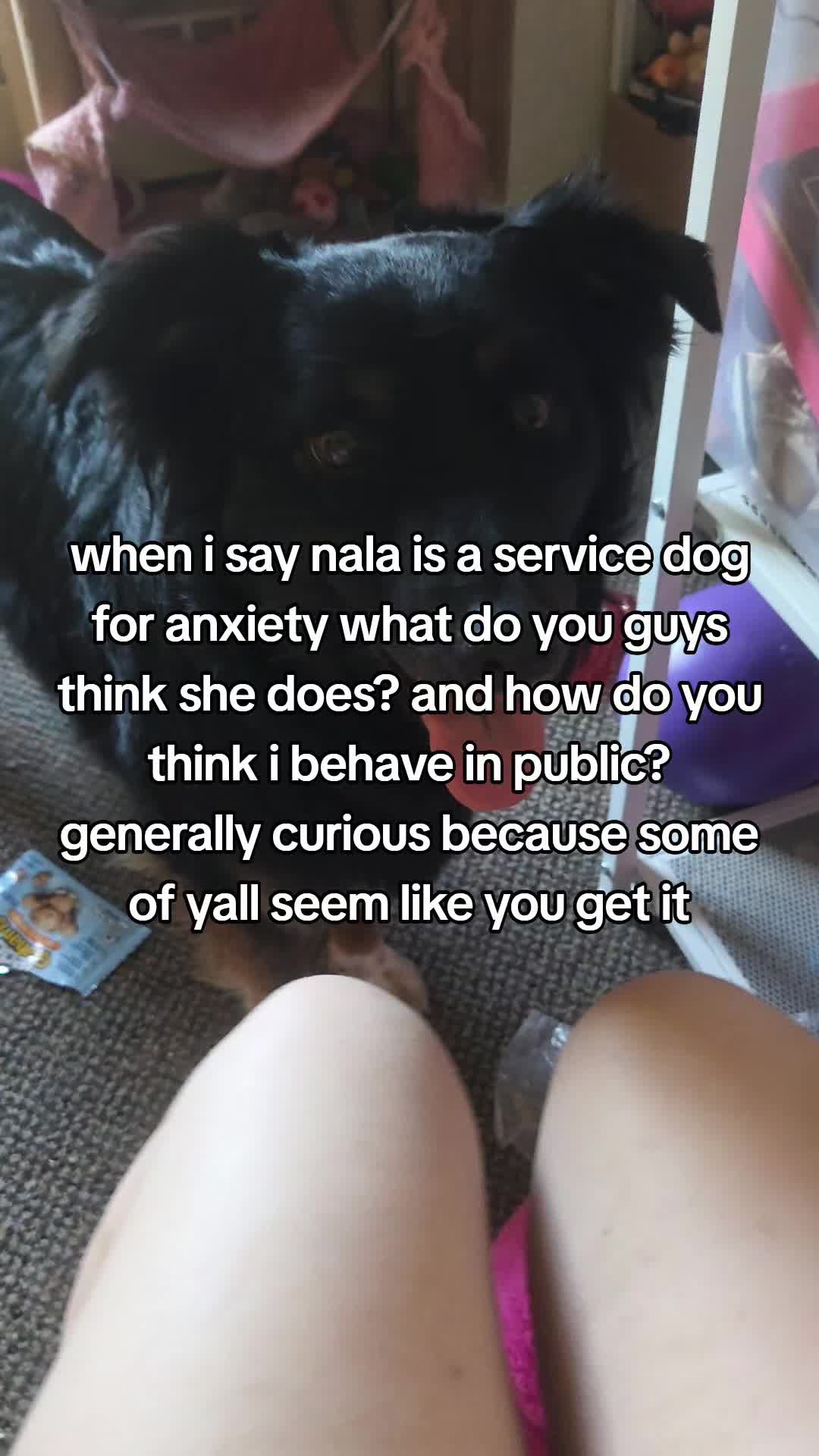 @Nala the Service aussie