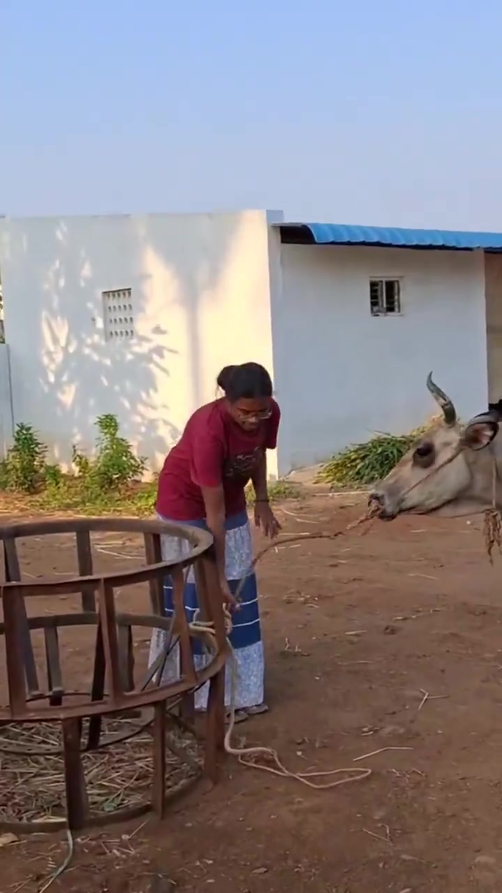 @இசைஞானி இளையராஜா ரசிகன்