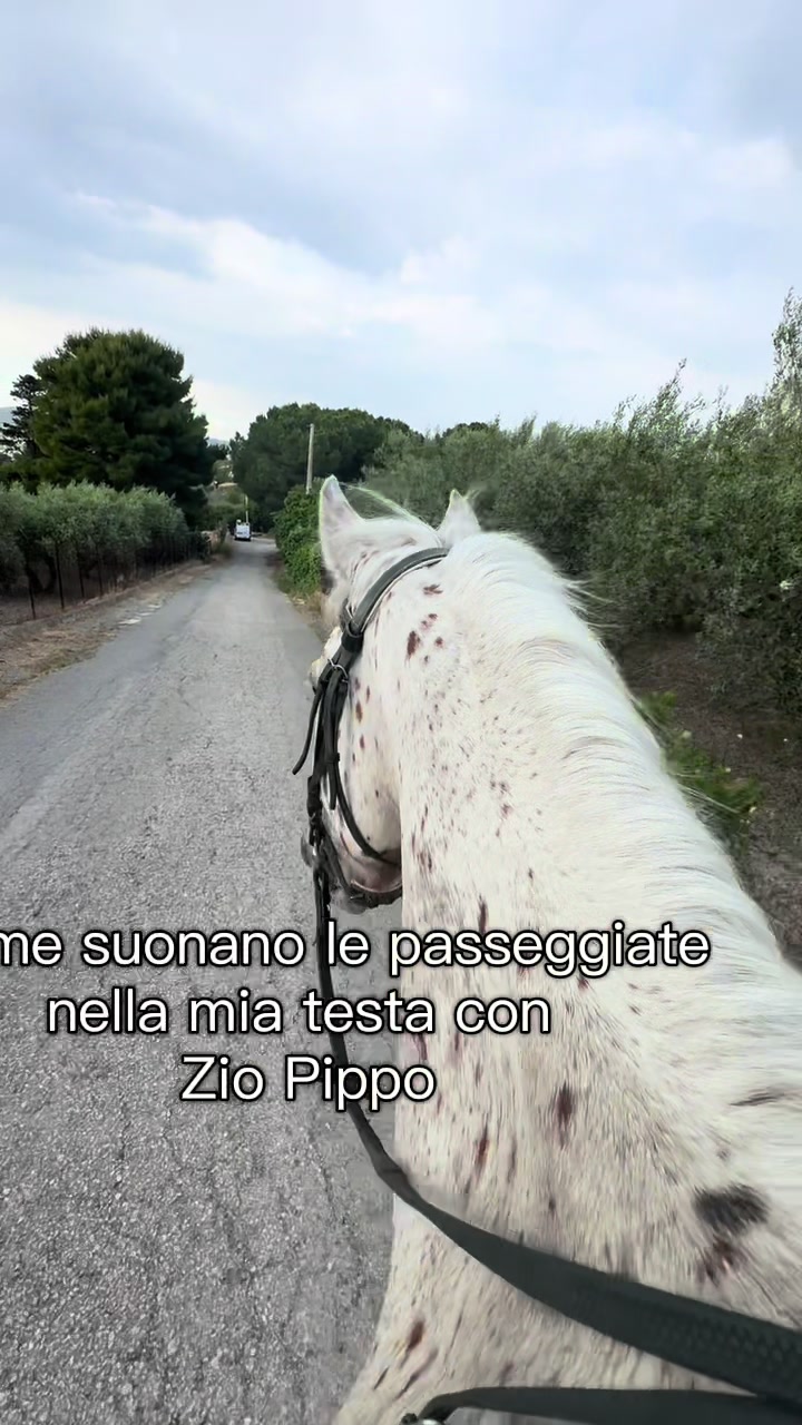 @Chiara Vitali 🐴