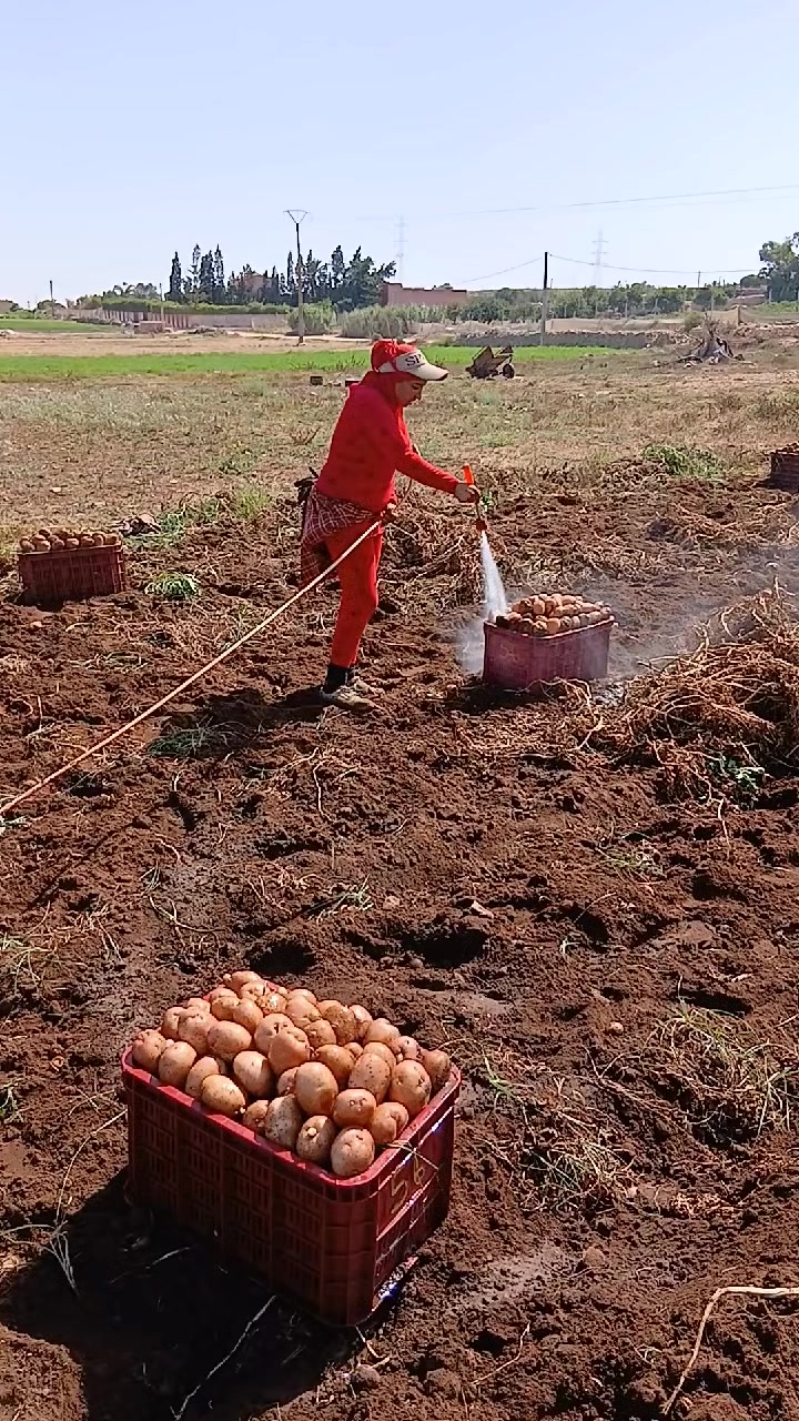 @بديعه