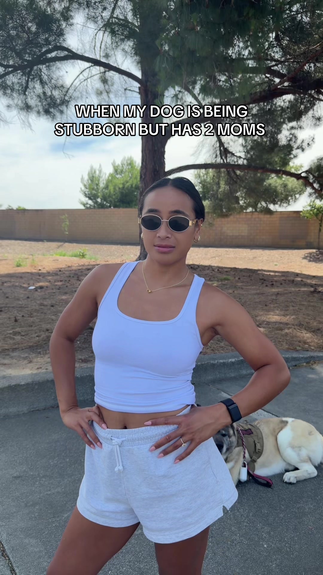 @laveni.vaka