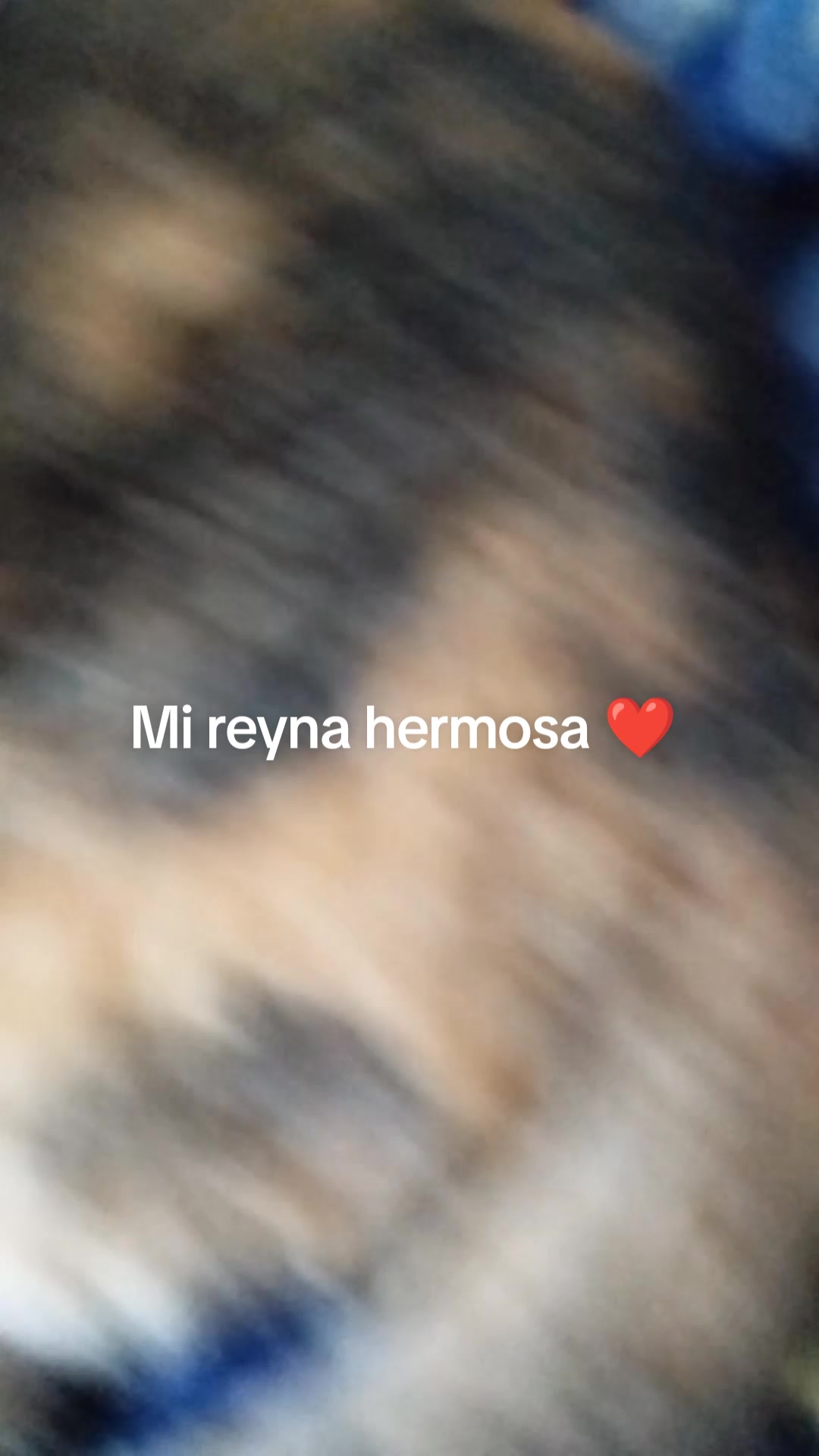 @Mirandero ❤️!