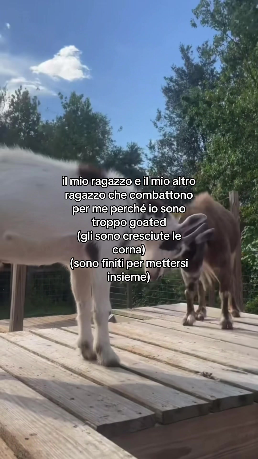 @autisticgirl