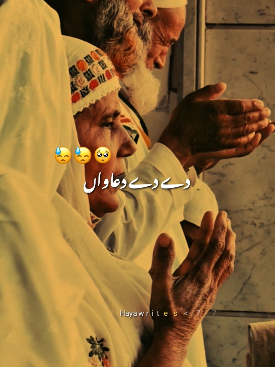@Haya
