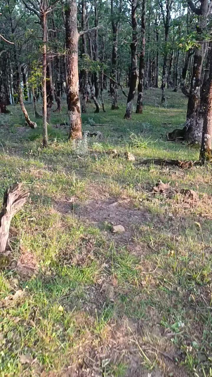 @JubaHiking