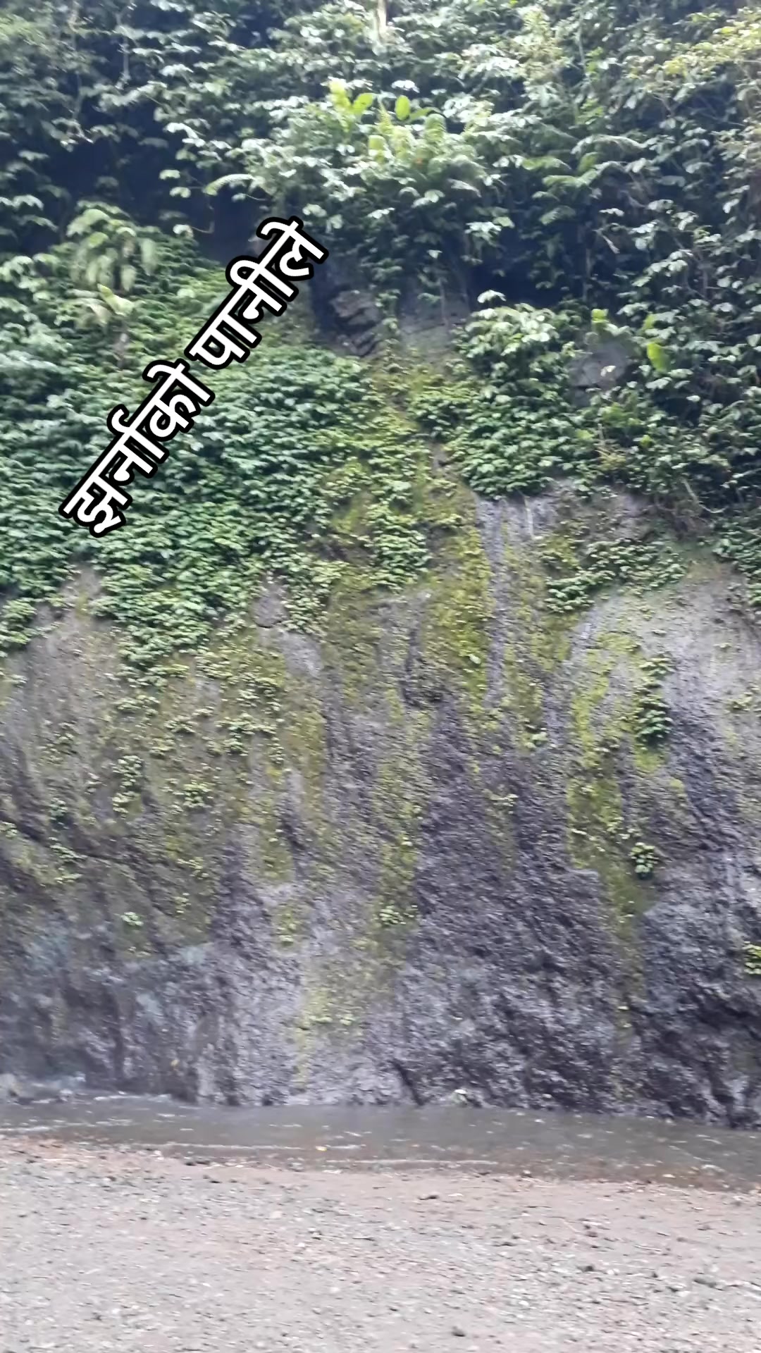 @nabin dhami