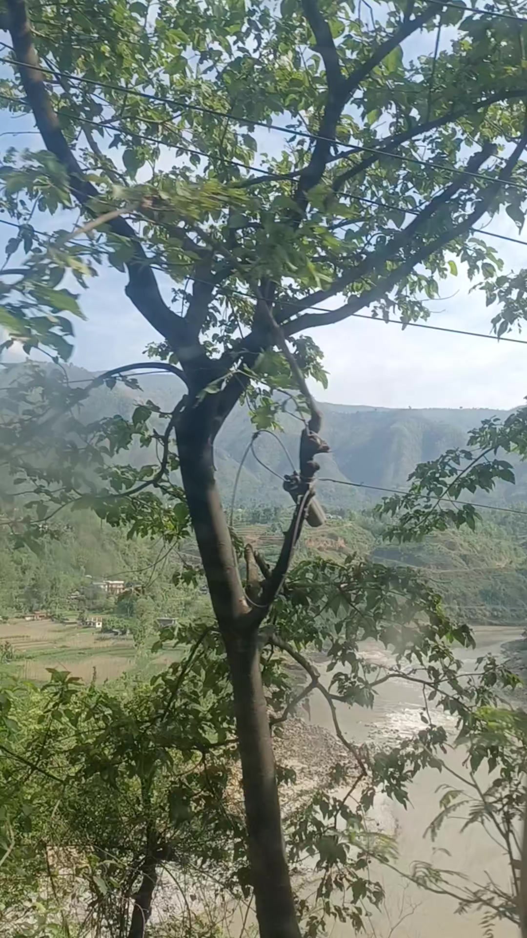 @Parbati