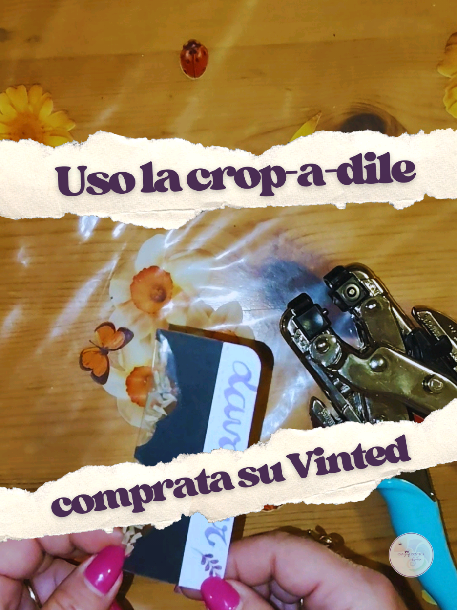 @camALEontica creativa