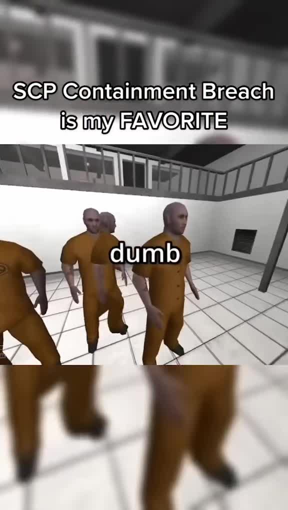 @Ch1p