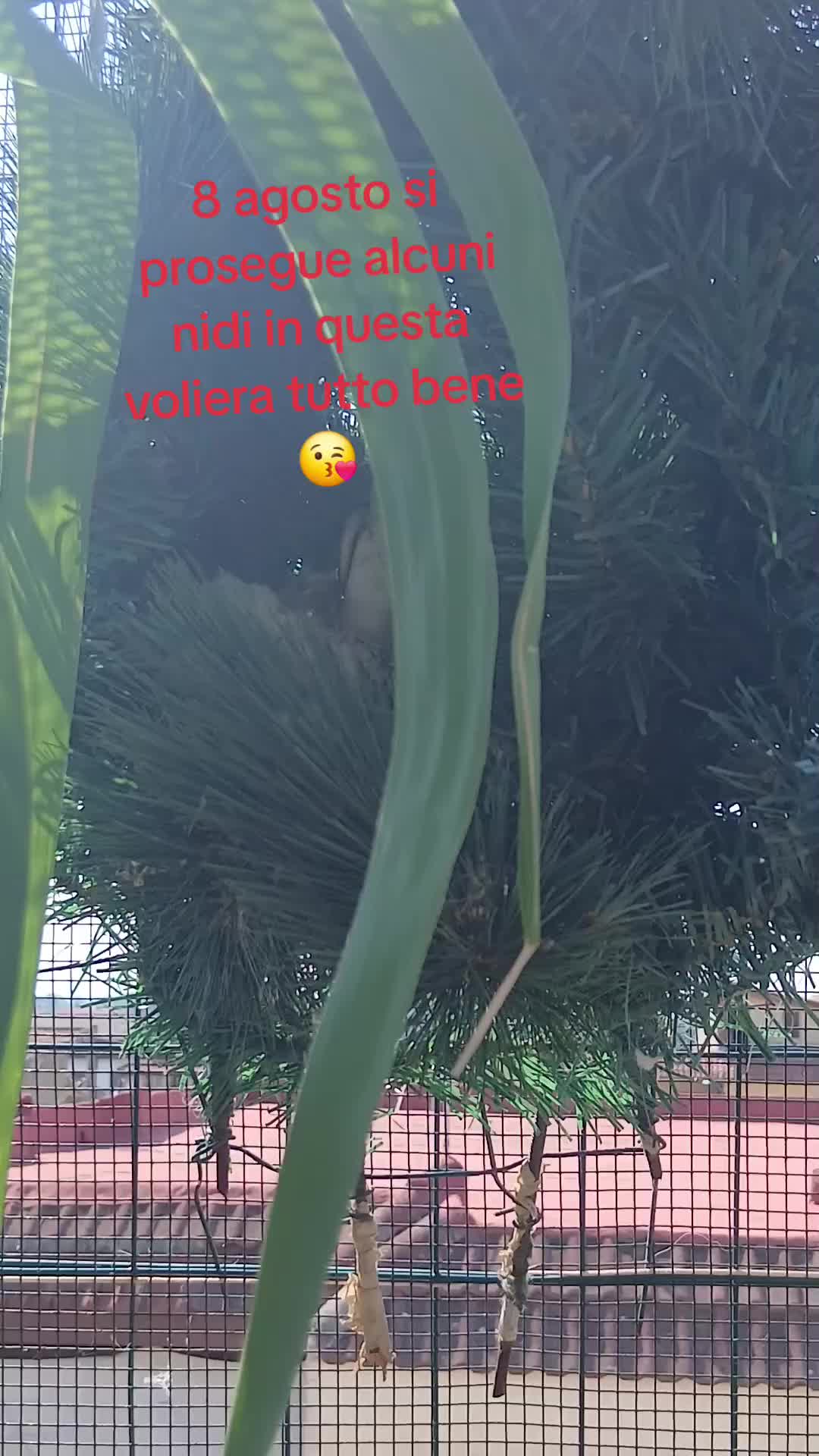 @Leonardo Dellacorte
