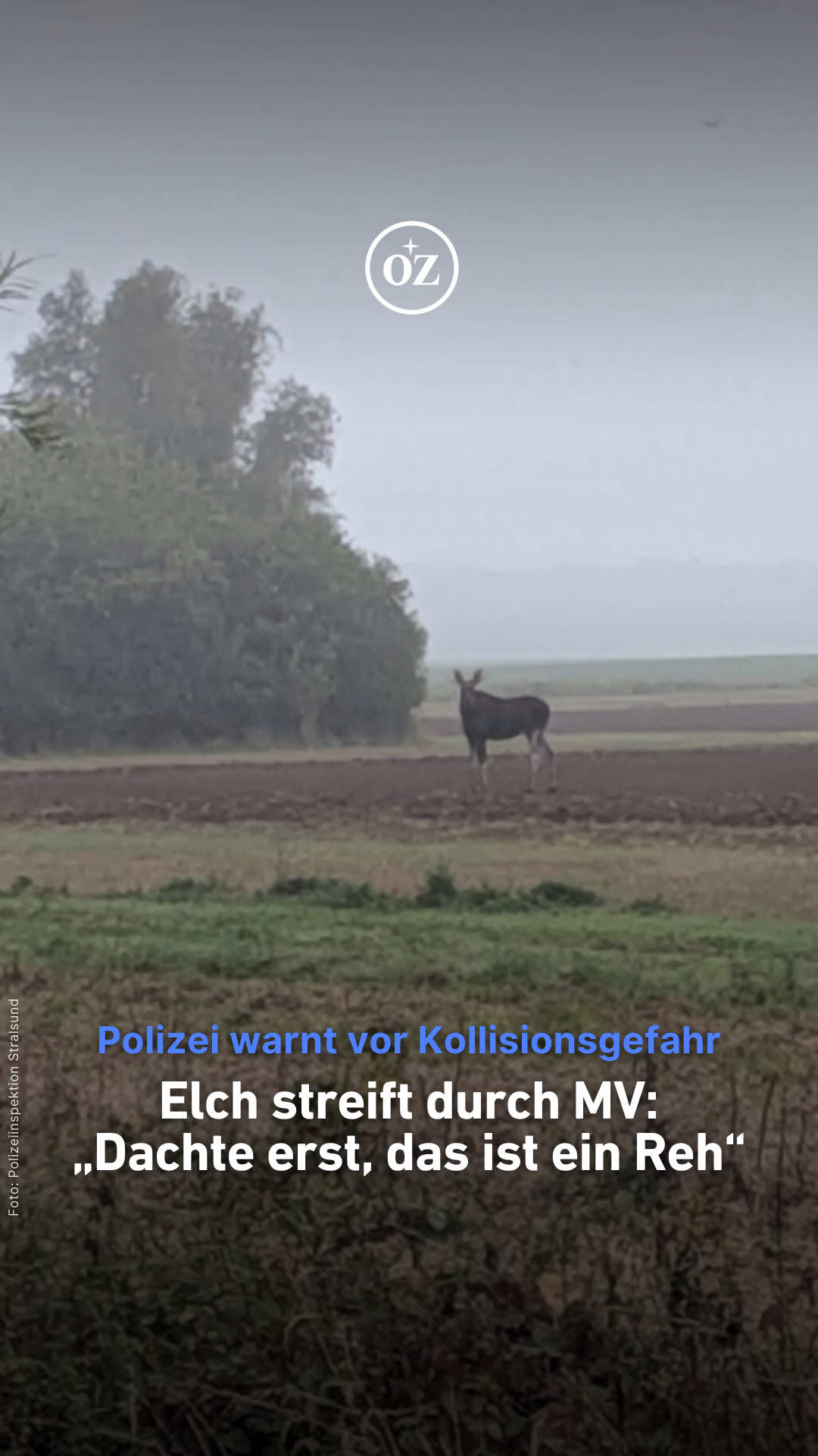 @Deine Ostsee-Zeitung 🌊