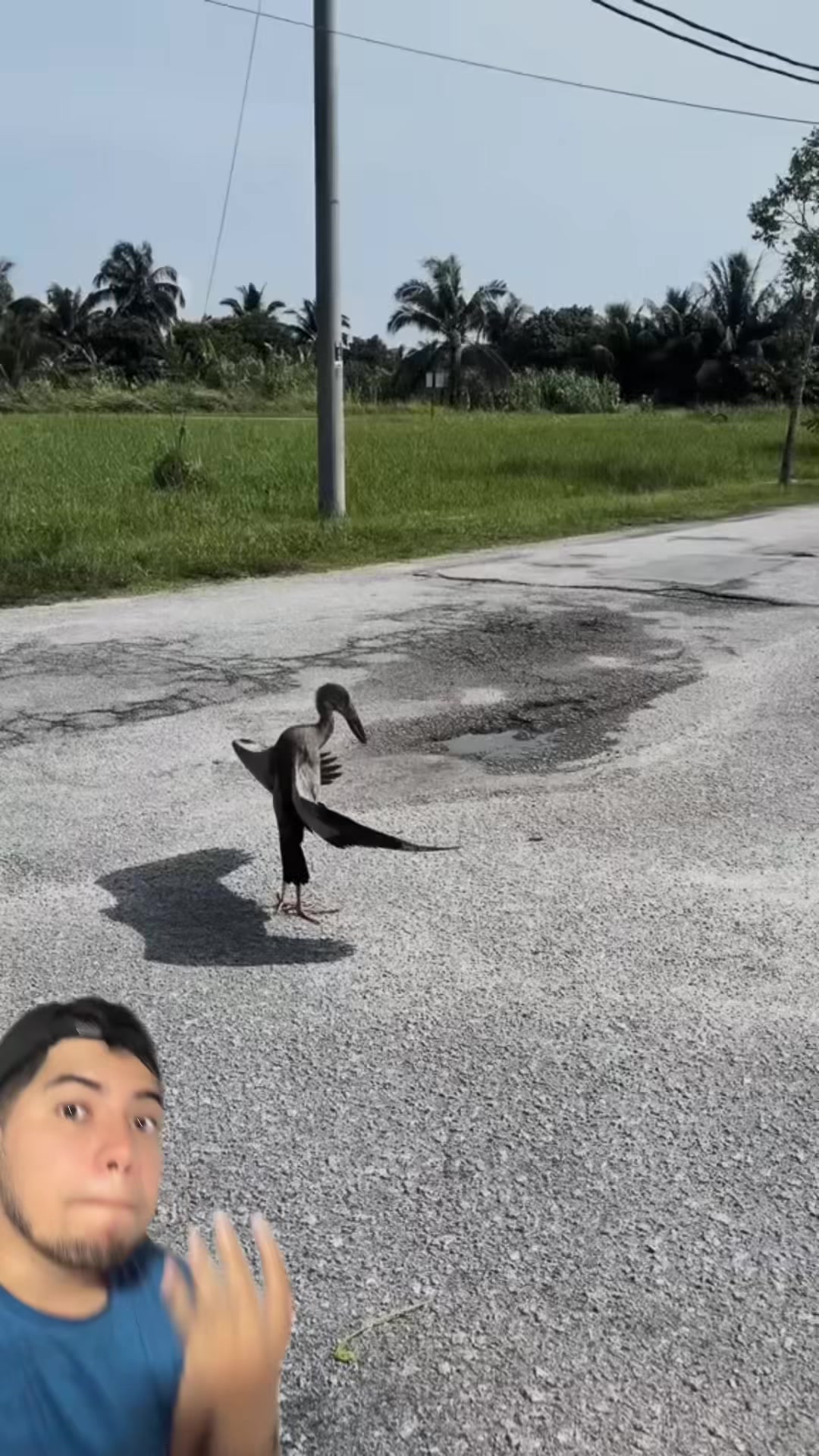@Soy Sebassalvaje (d&uacute;os)