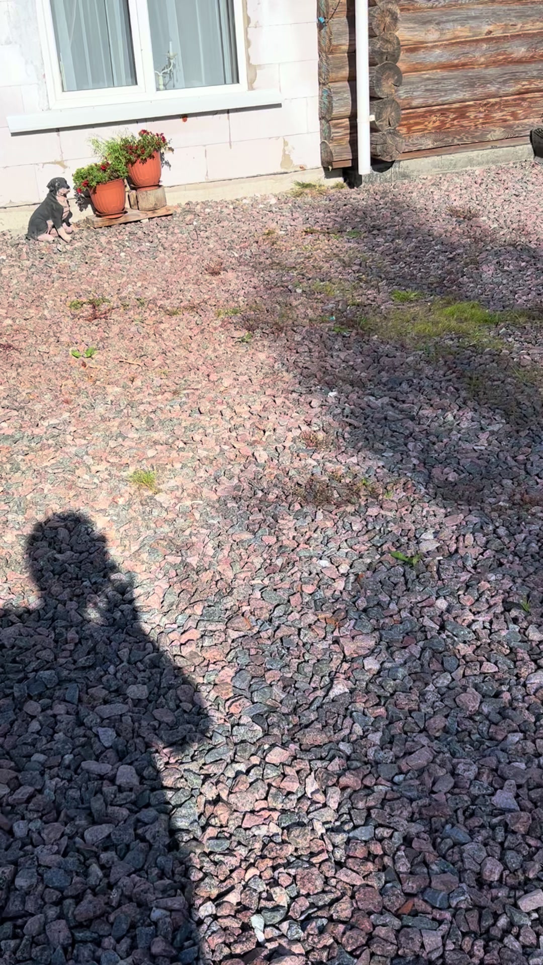 @Оля