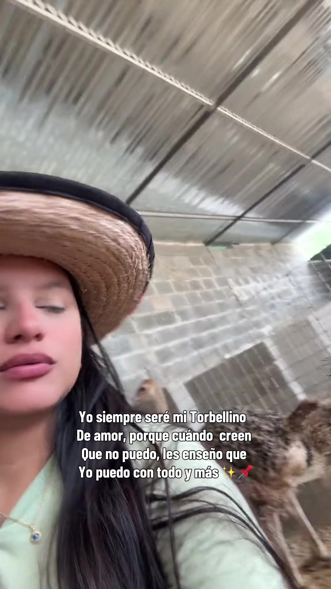 @Granjamascotalandiayaracuy