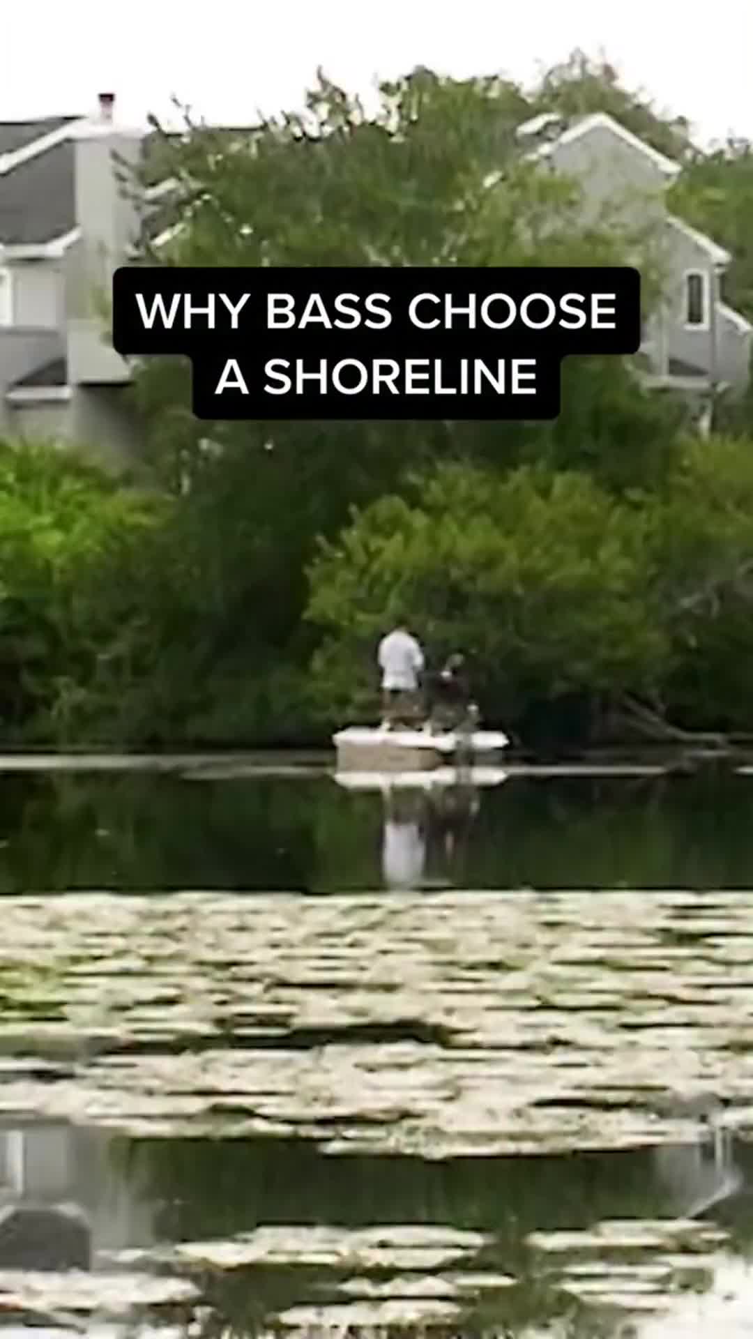 @Lunkerville