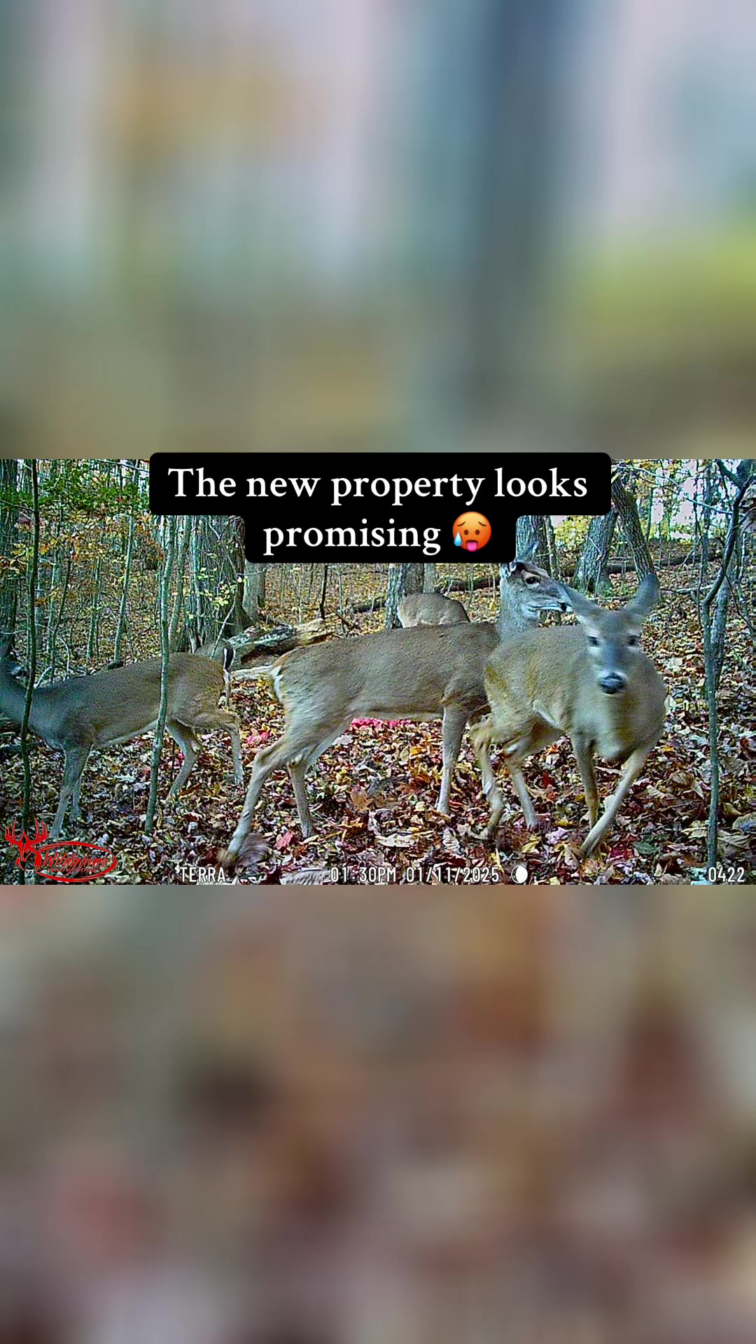 @FabledHuntress