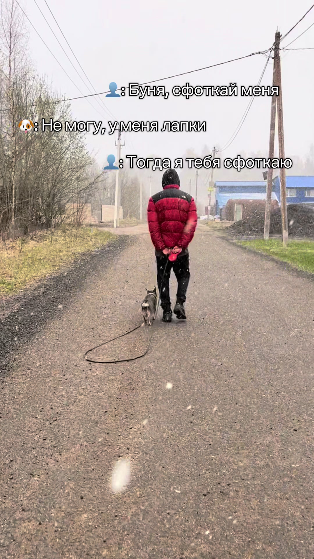 @ТГК: Бульдожкин Дом