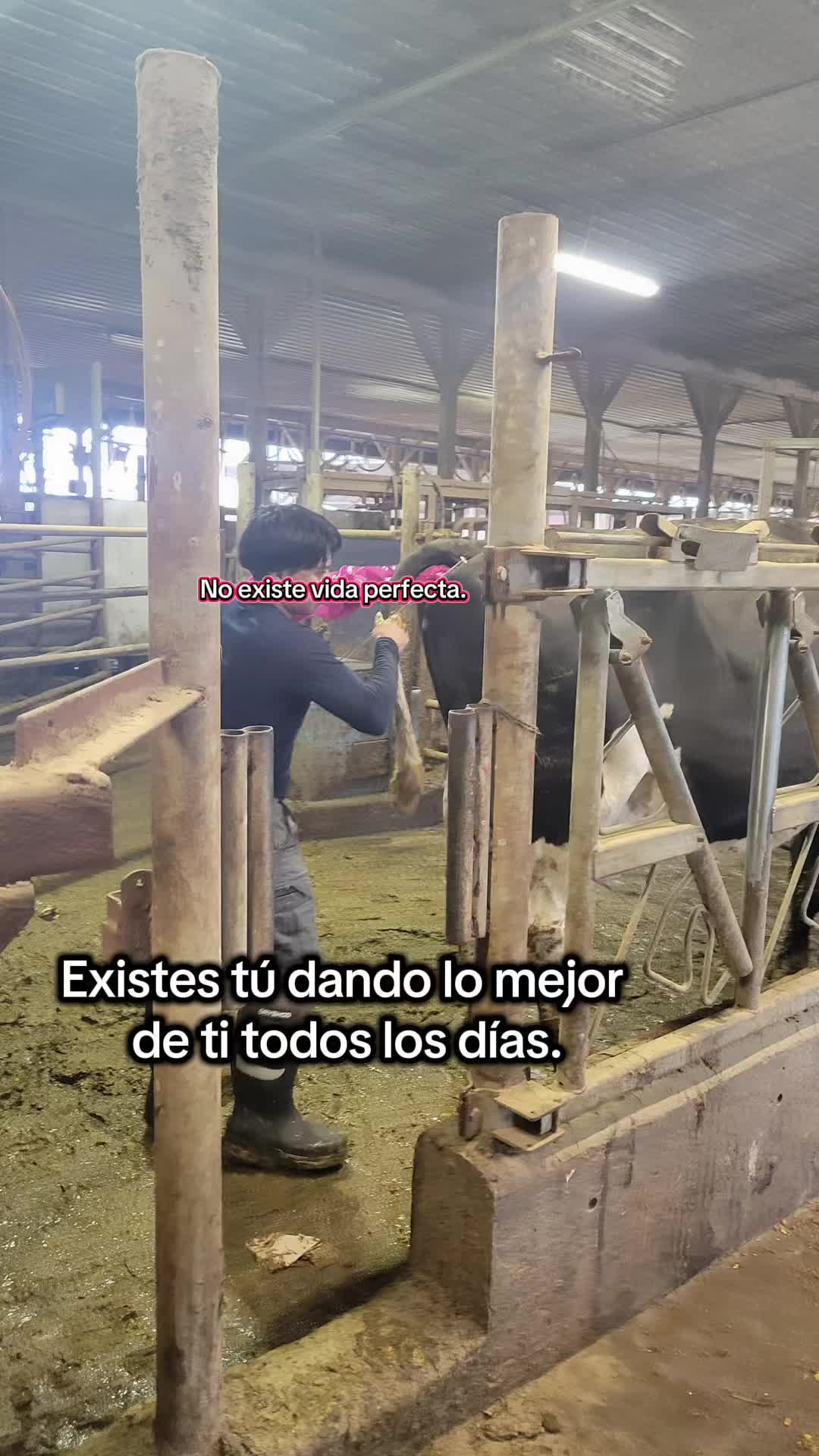 @Nery Elias