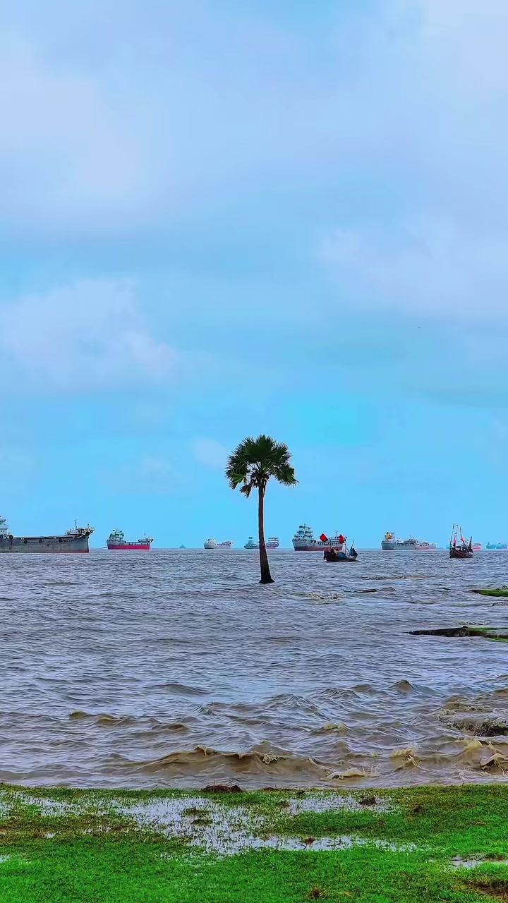 @❤️☘️শেষ পাতা ❤️🩹🍀🥰