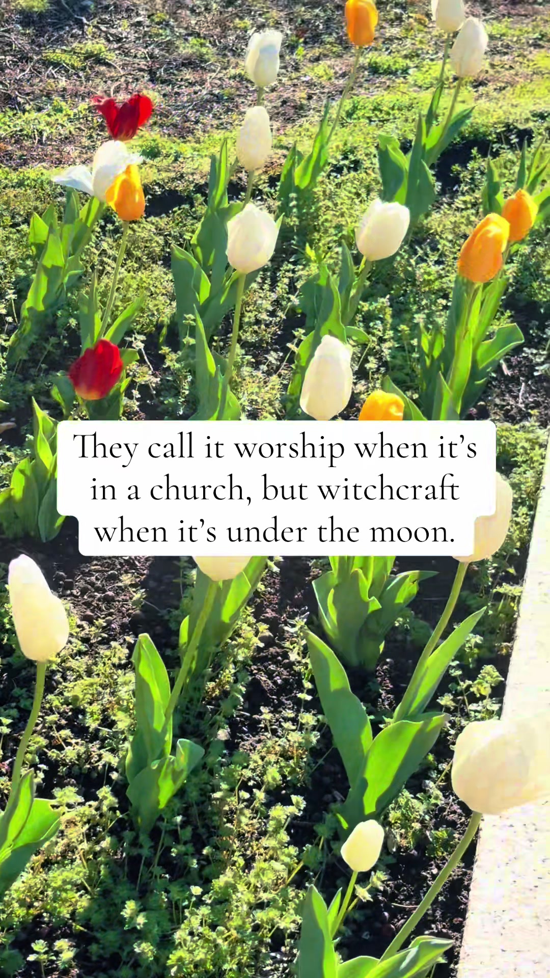 @The🧿OG🖤TikTok🖤Witch