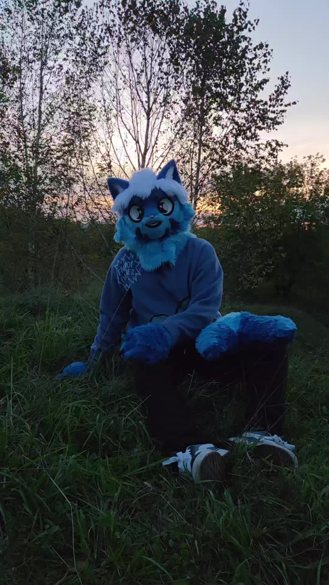 @Шарк