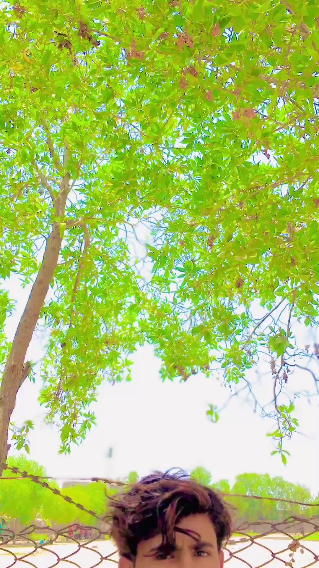 @ٽنڊي باگي جو شھزادو اللہ بخش🥀