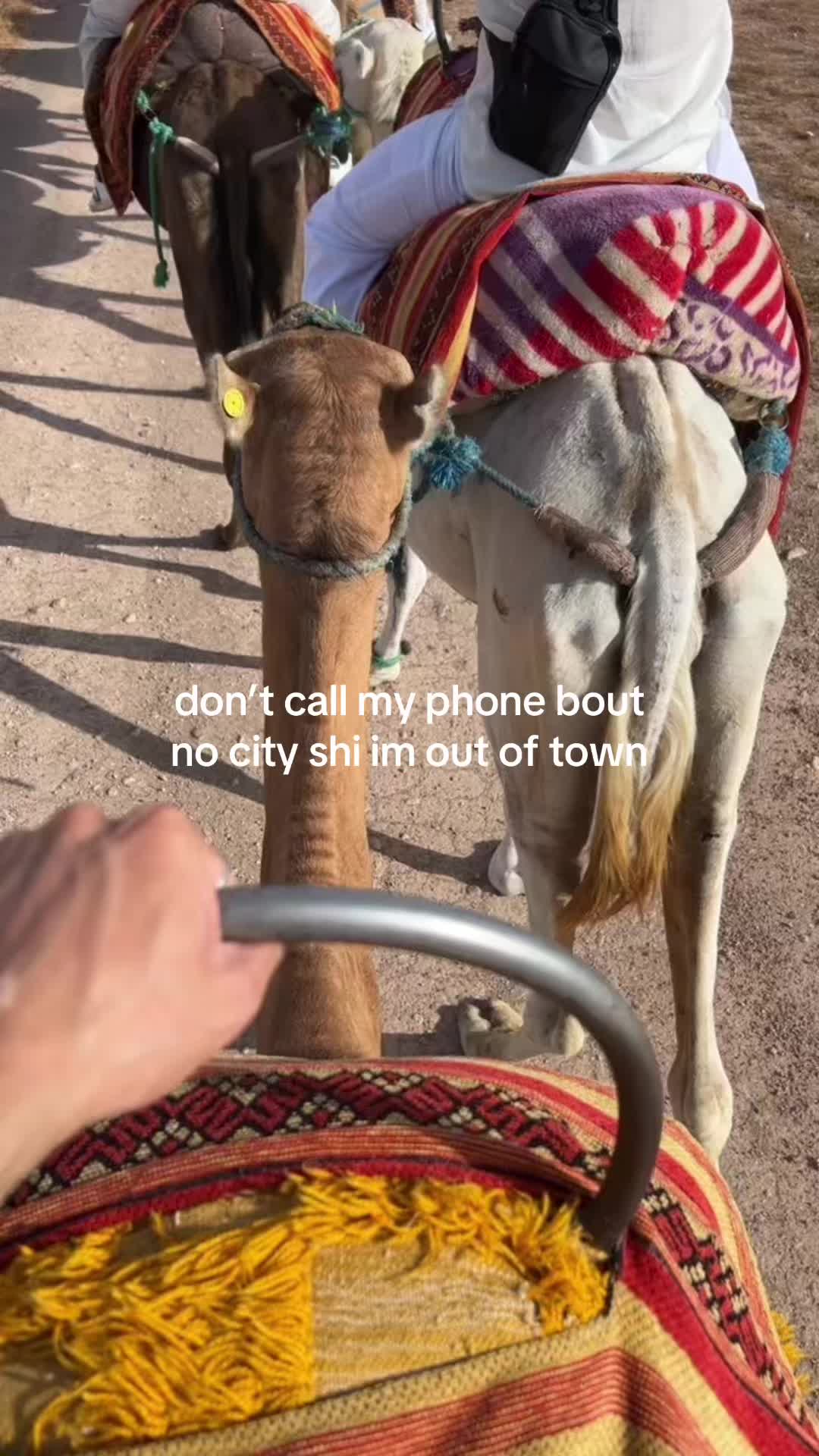 @joelfromthebay