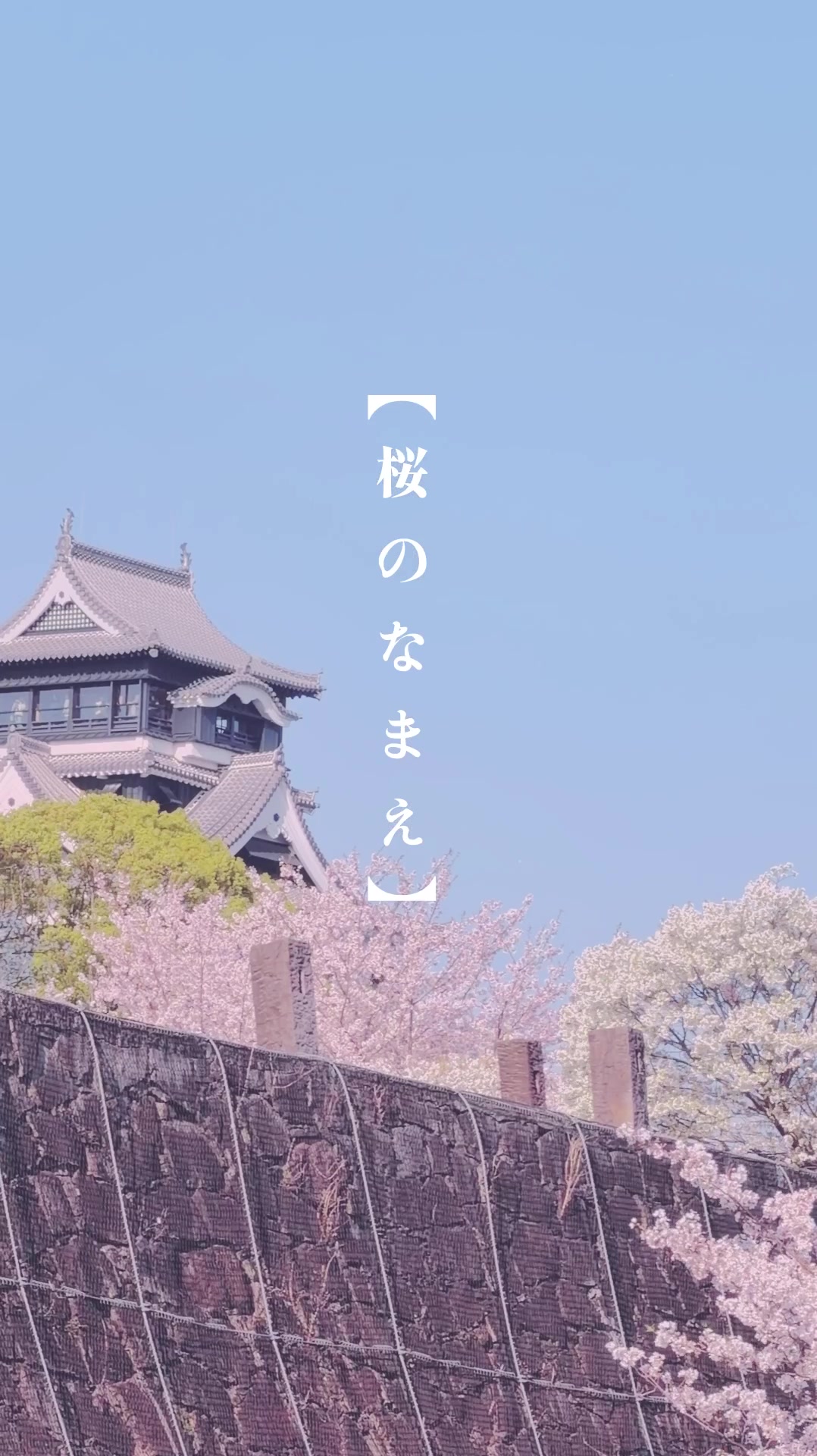 @徒然なるみさん|熊本の神社仏閣