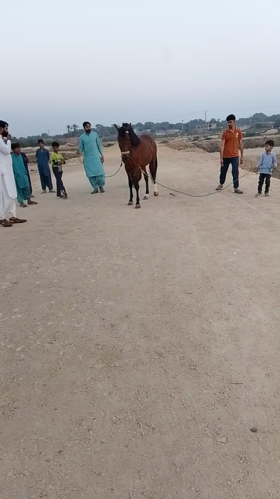 @Mazhar_Bhutto_